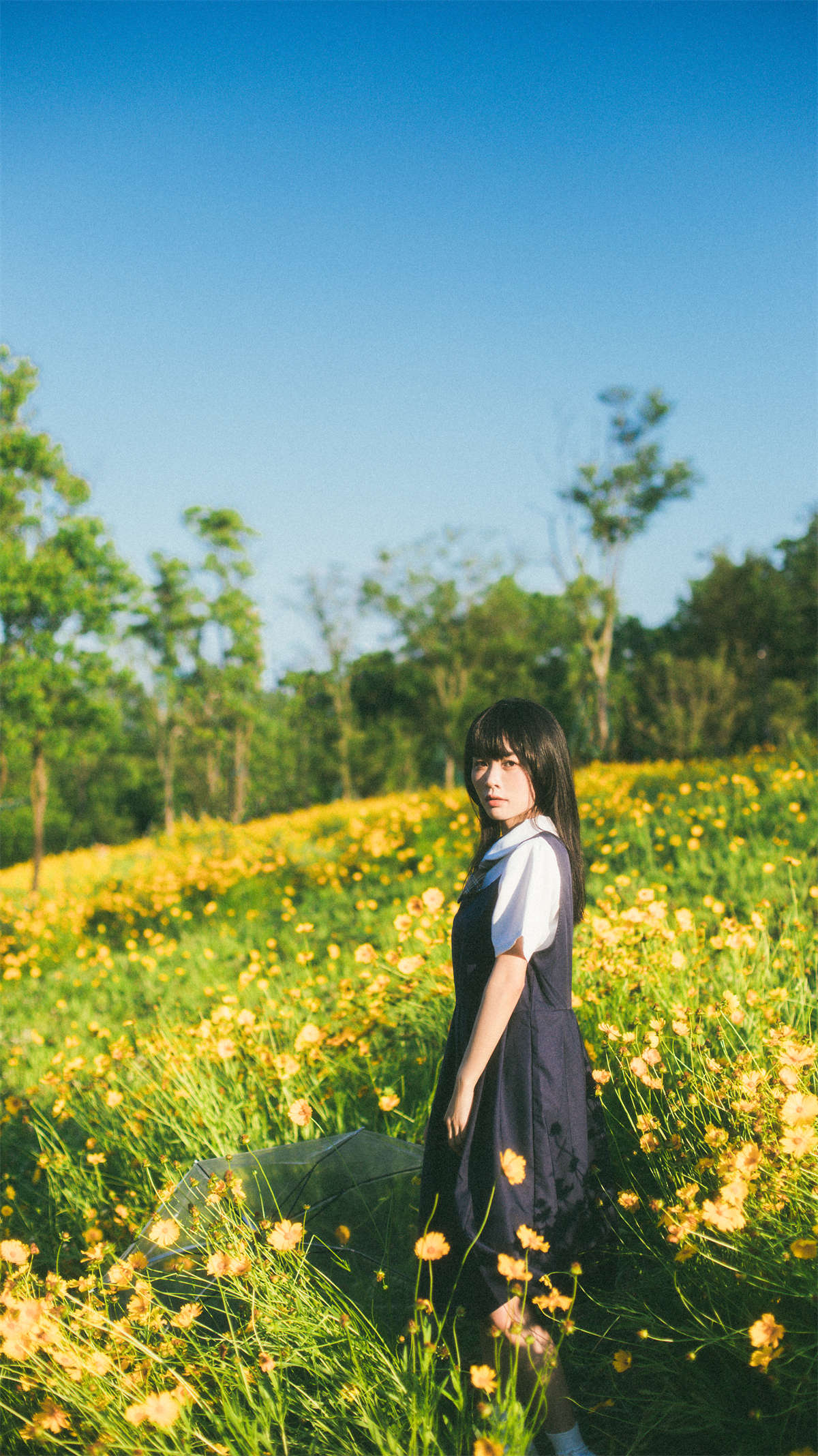 YITUYU艺图语 2024.08.18 小黄花 一插图1