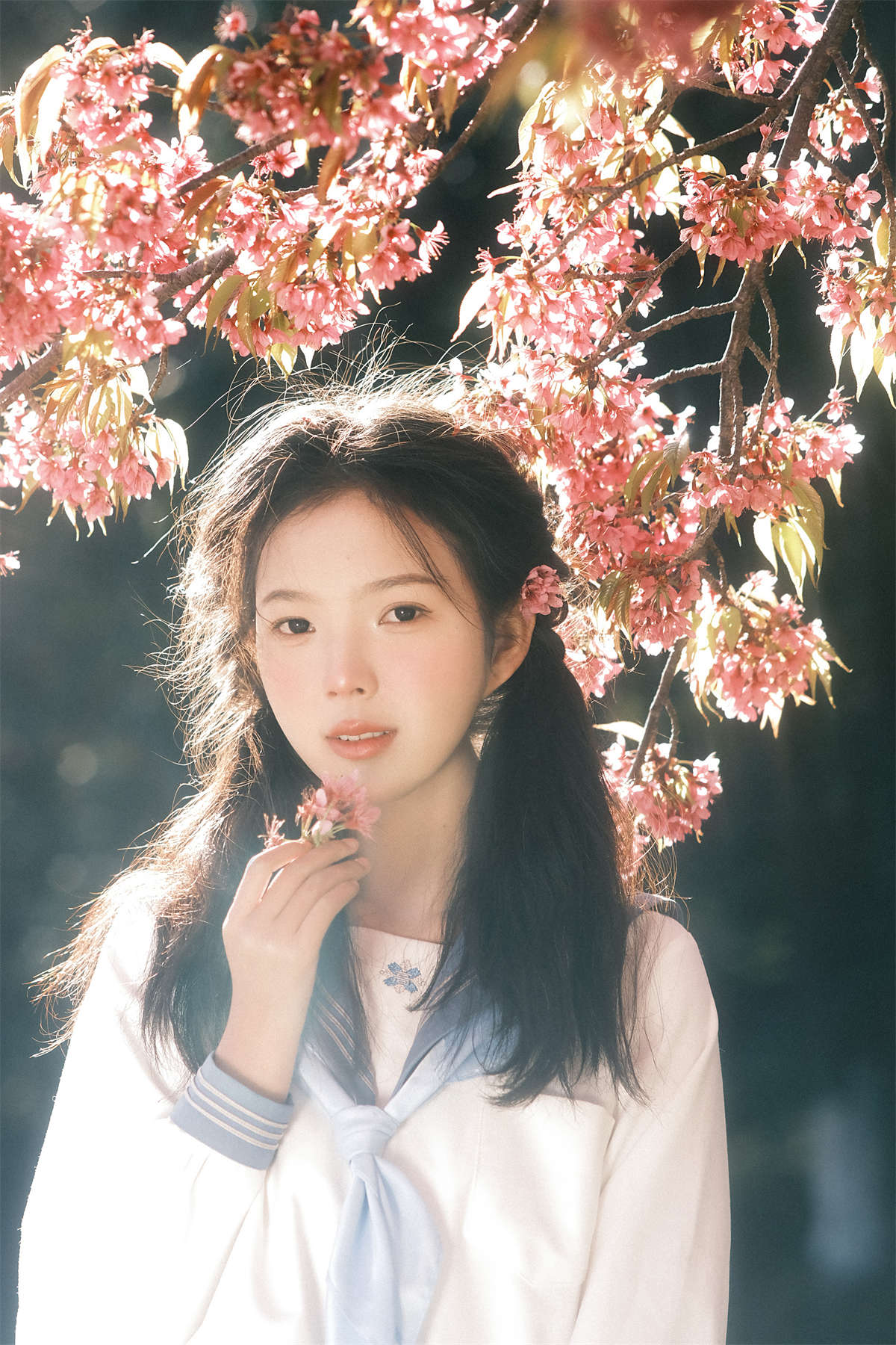 YITUYU艺图语 2025.02.15 幸得樱花三月雨 乐意李插图1