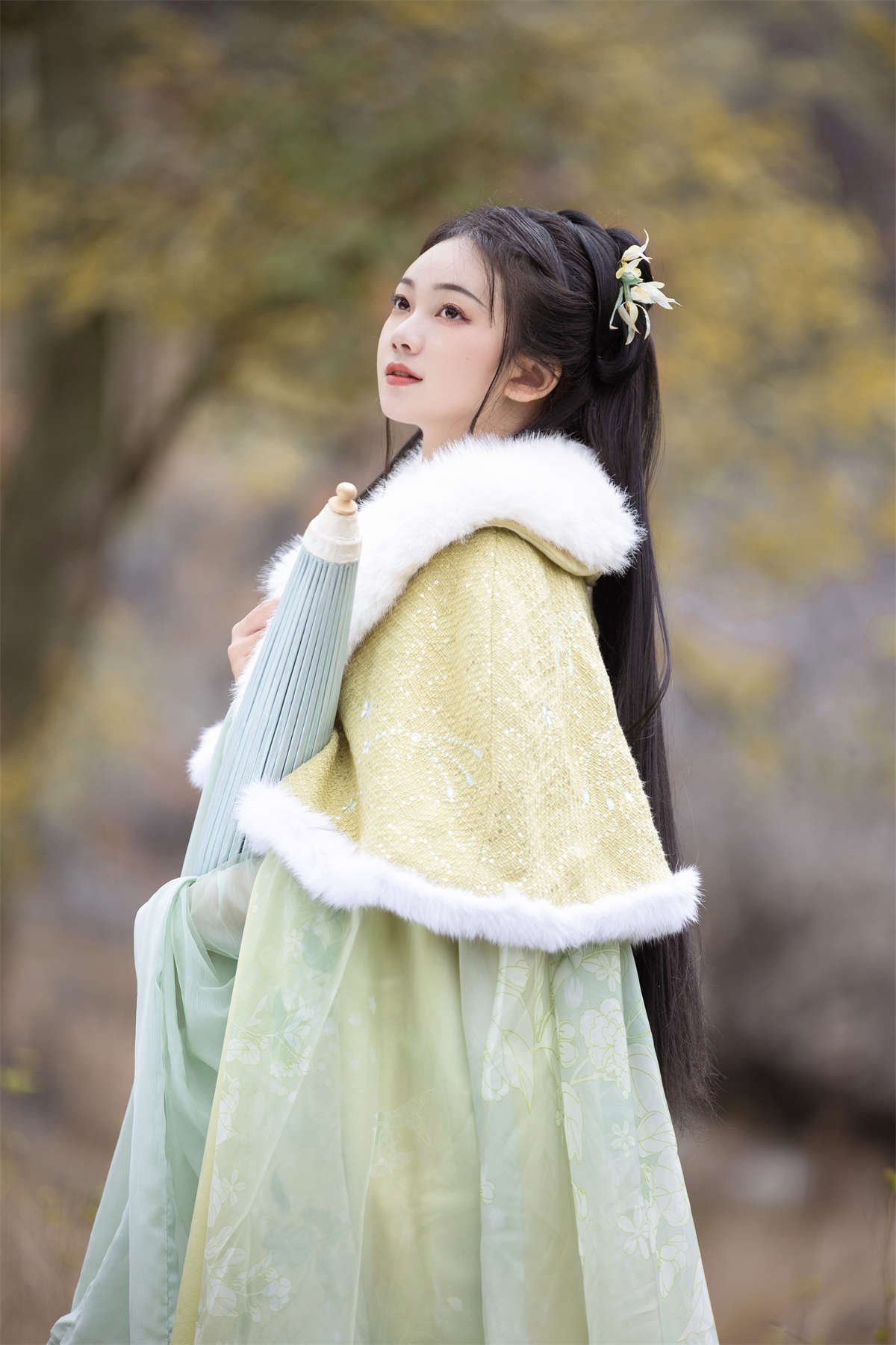 YITUYU艺图语 2023.02.05 枫 秋哒哒–插图1