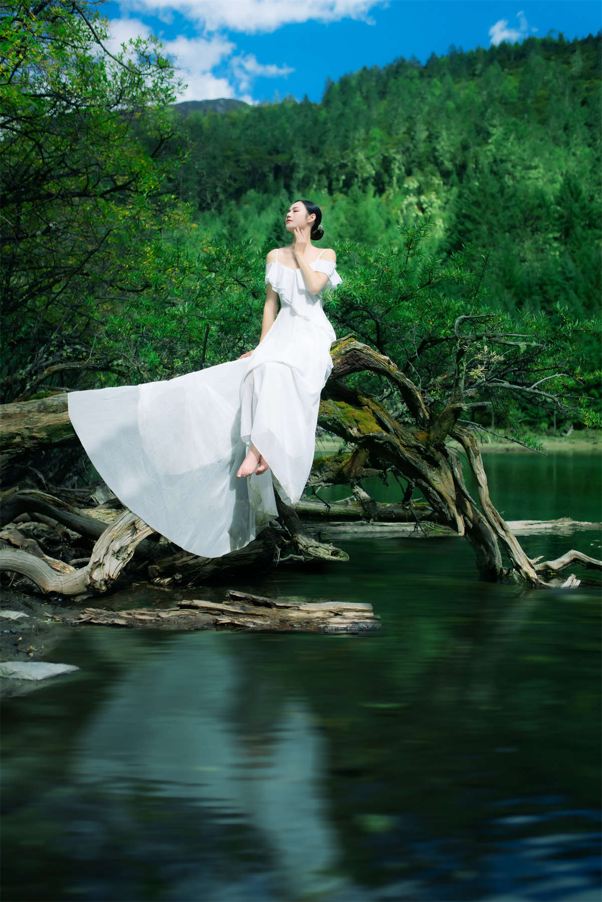 YITUYU艺图语 2023.02.04 静谧森林 谢阿玲插图1