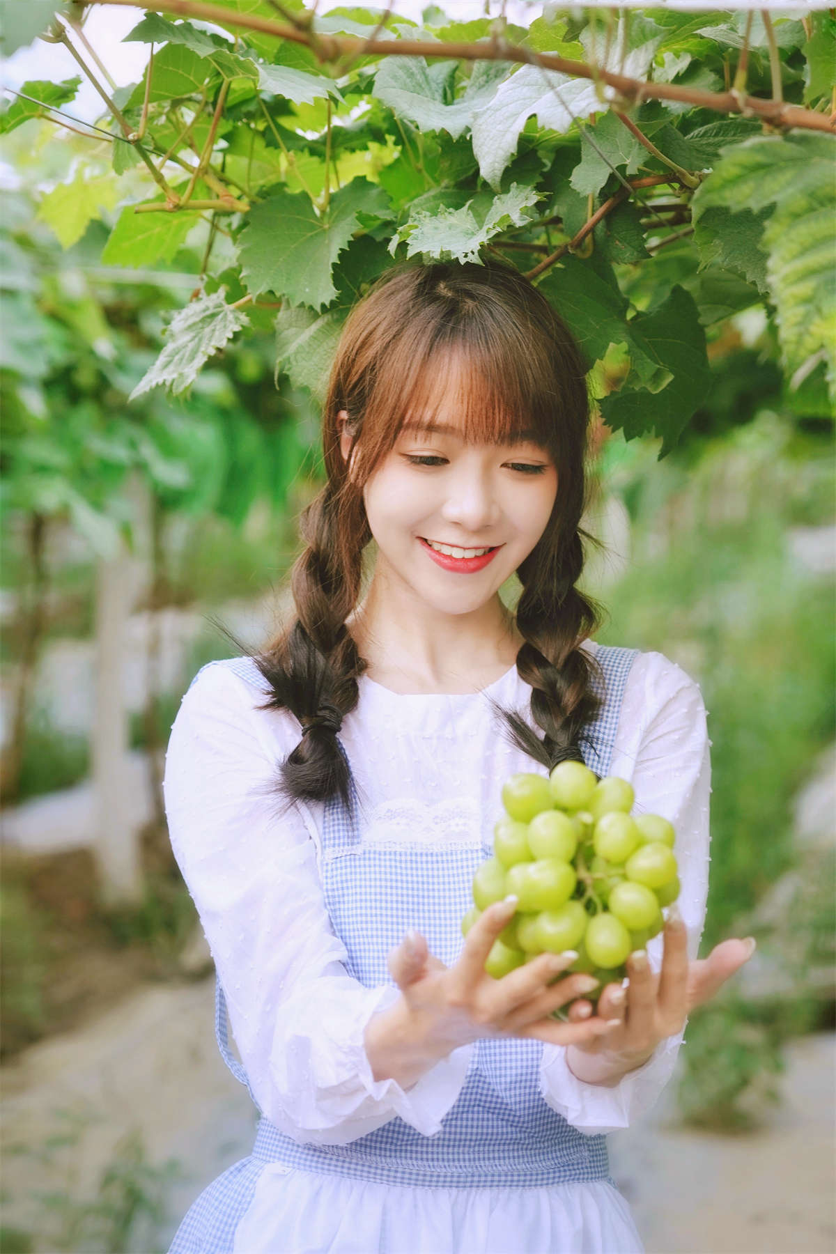 YITUYU艺图语 2023.02.04 葡萄园丰收的喜悦 鸭鸭插图1