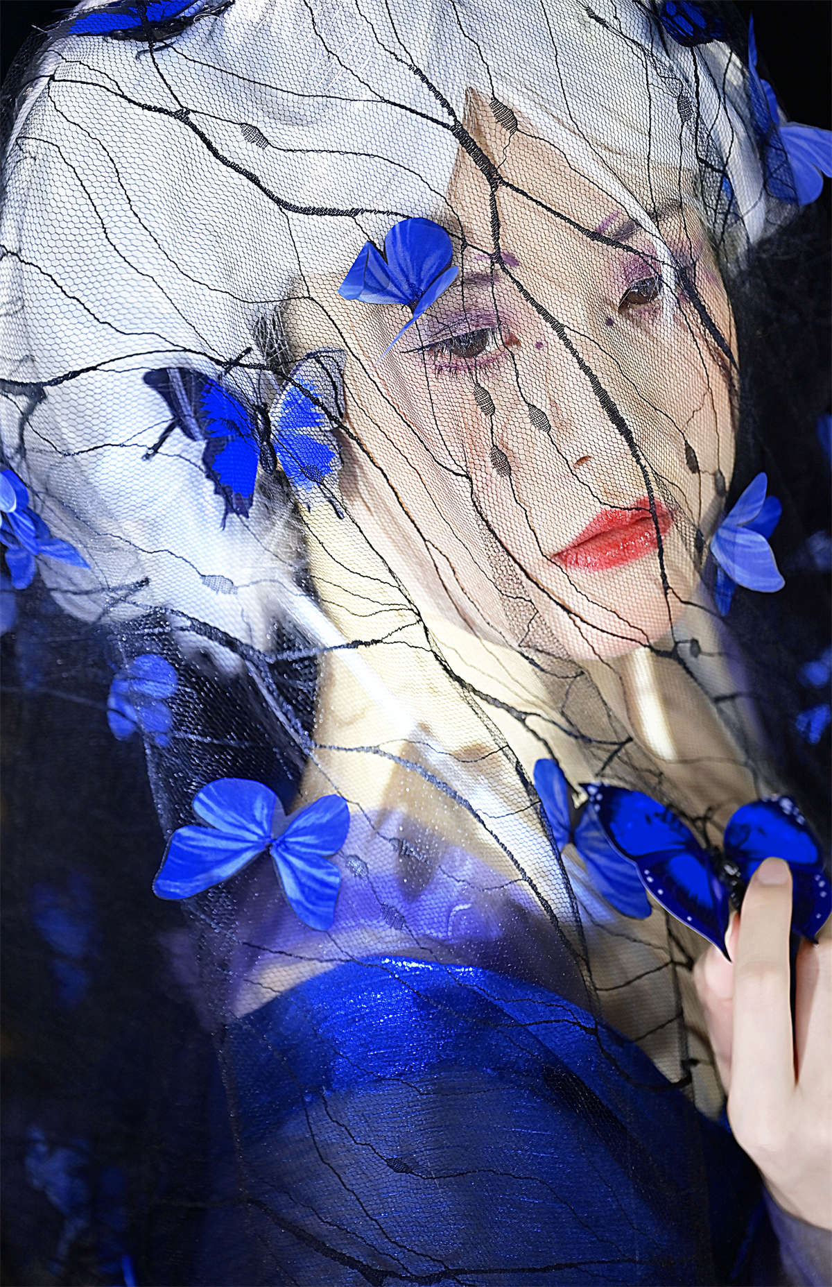 YITUYU艺图语 2023.11.02 蝴蝶 神赐杏杏插图1