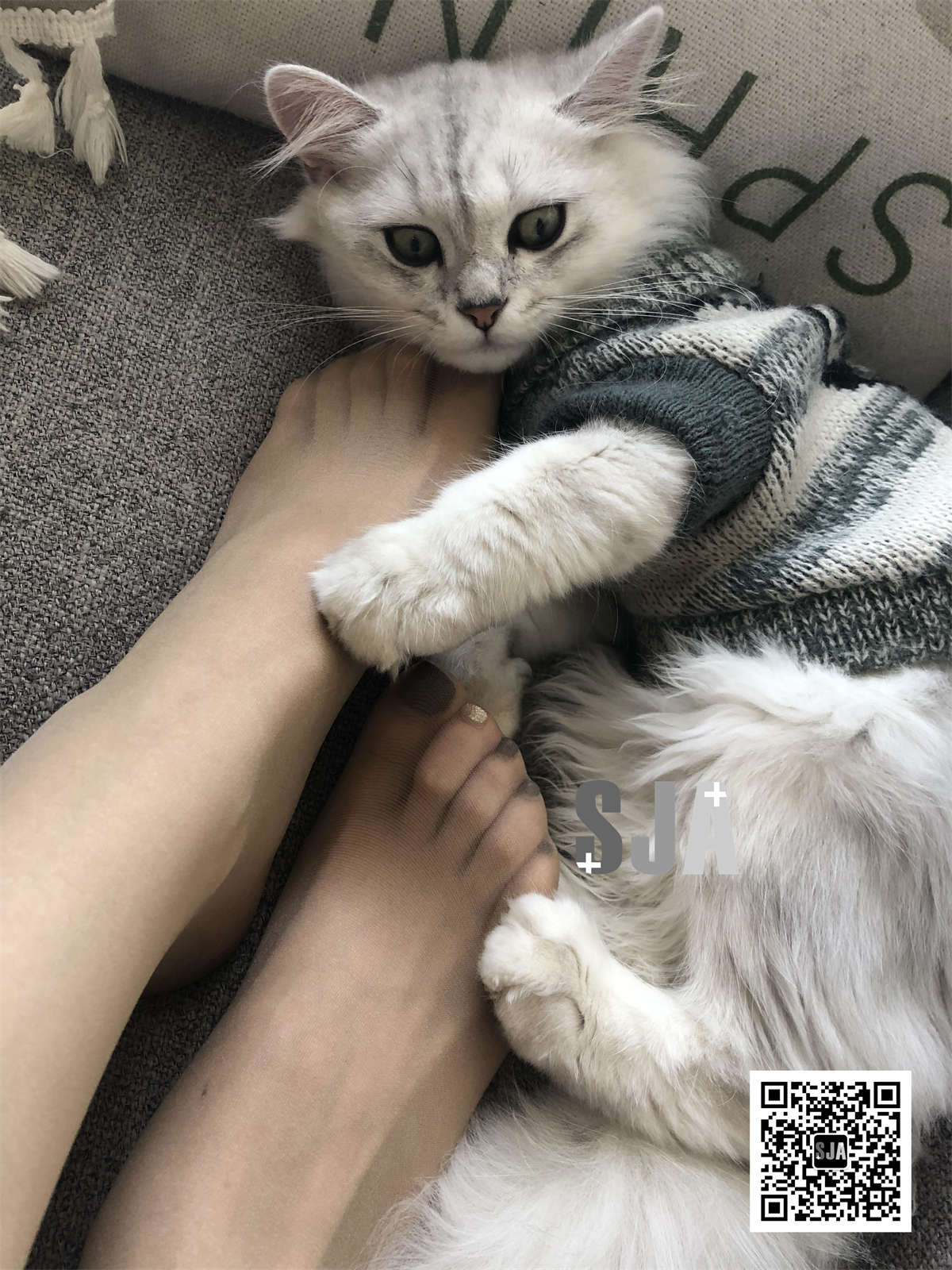 图片[2]-SJA佳爷 闺蜜视角 NO.013 《喵》-日更街拍