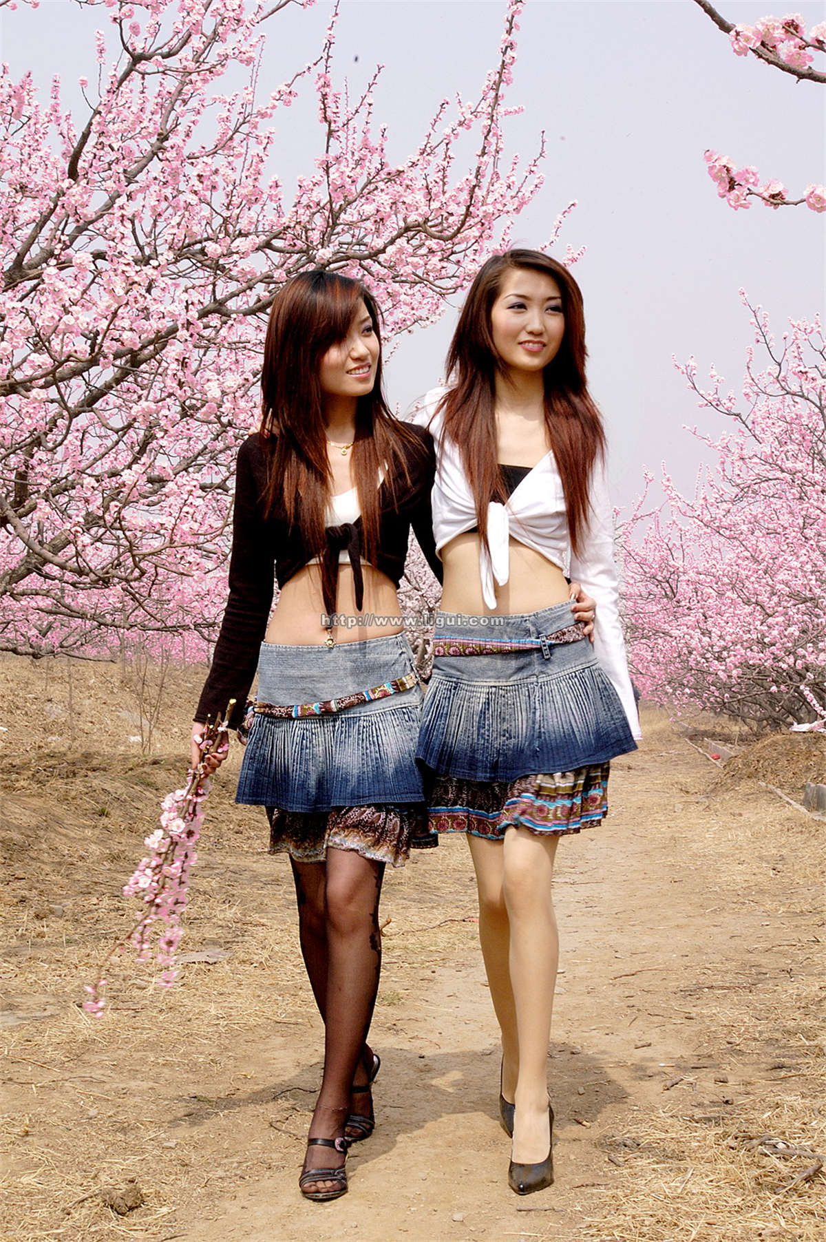 图片[2]-Ligui丽柜 2006-04-16 小惠&安心-日更街拍