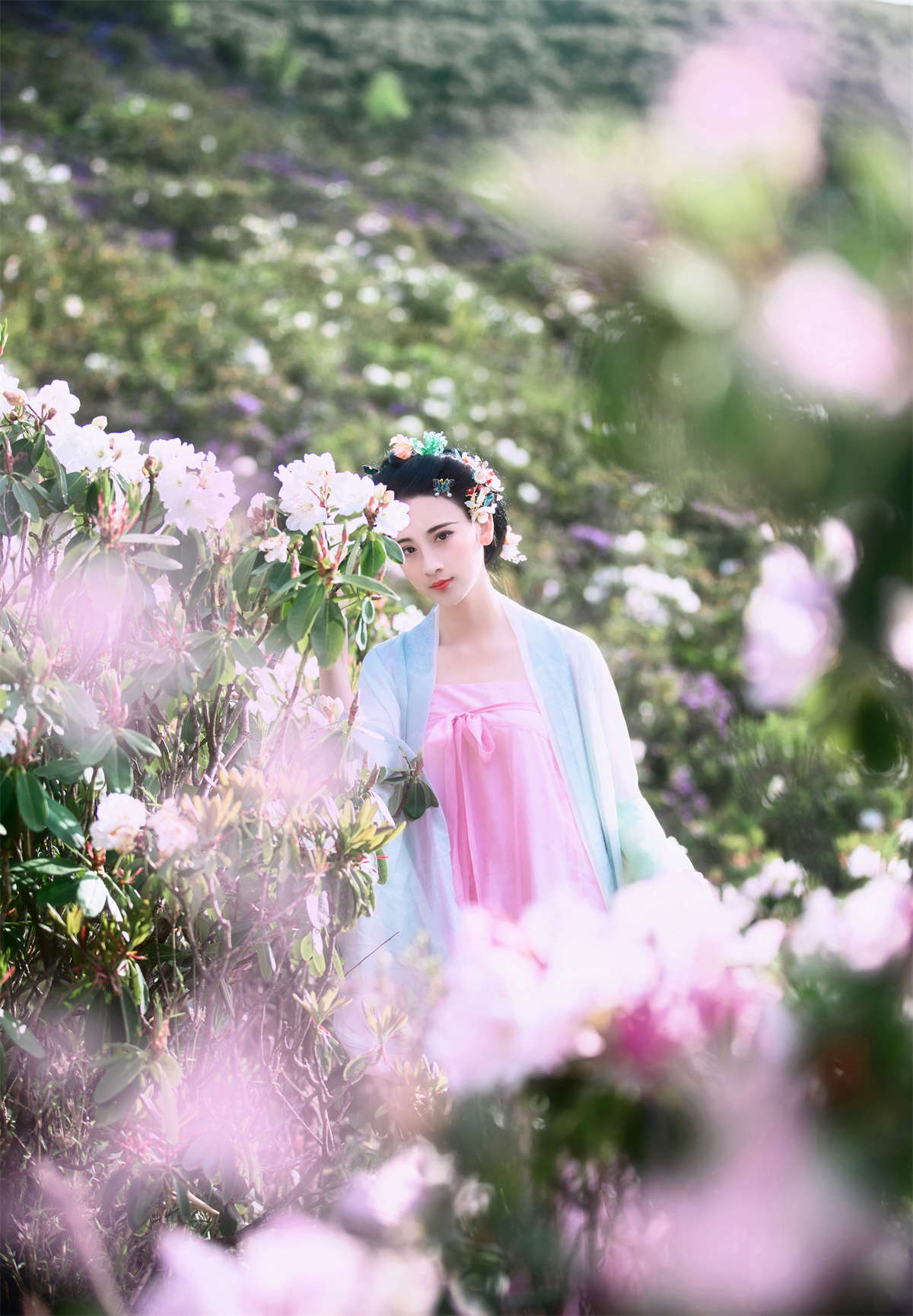 YITUYU艺图语 2024.10.16 杜鹃 半夏夏夏插图1