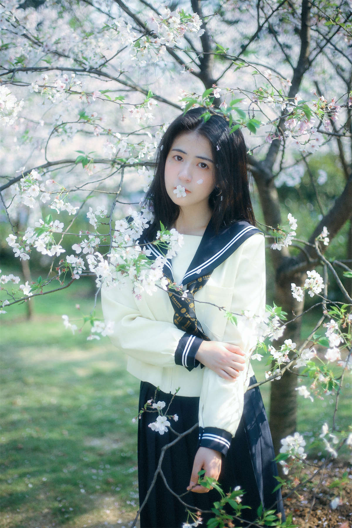 YITUYU艺图语 2022.10.08 春日早樱 瞳人儿插图1