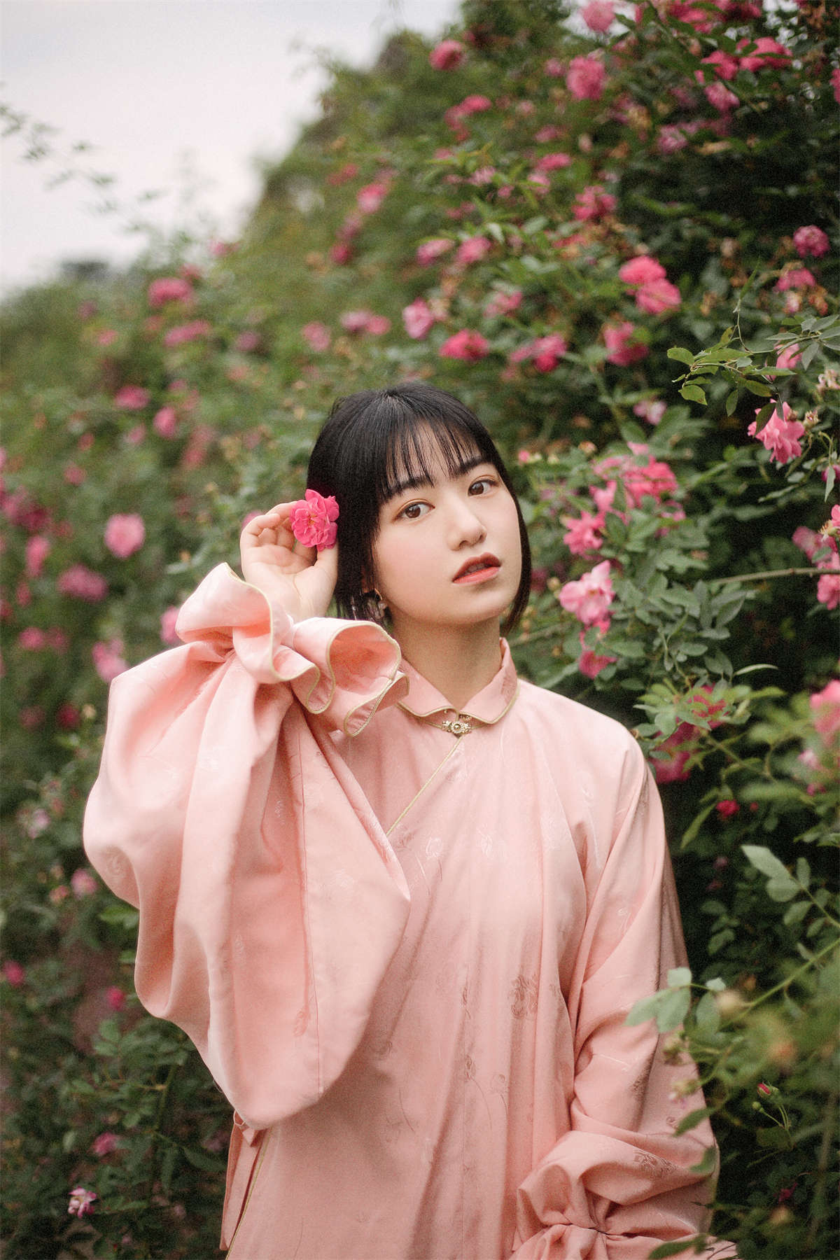 YITUYU艺图语 2022.09.22 蔷薇花开 panniling插图1