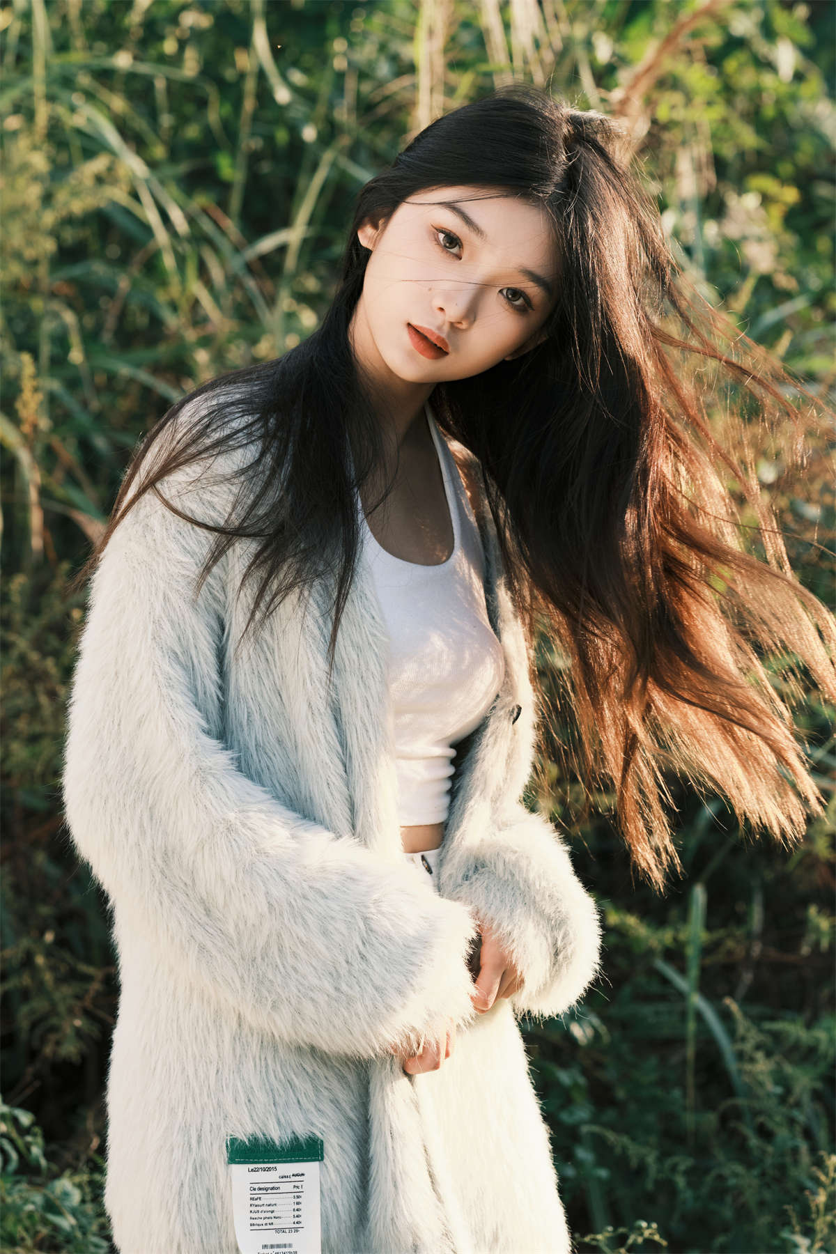 YITUYU艺图语 2025.01.03 湖边 一只狸猫插图1