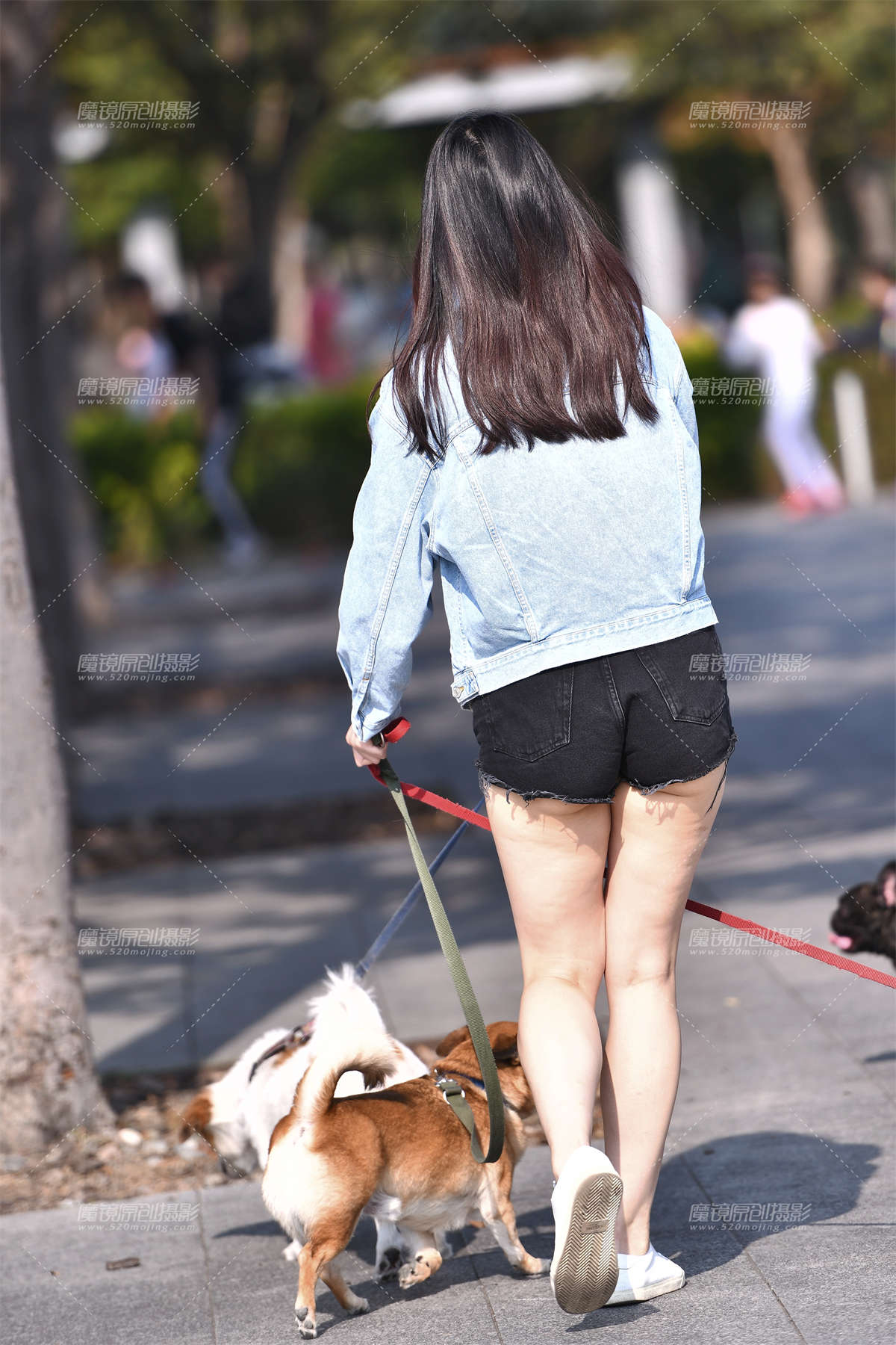 图片[2]-溜狗-日更街拍