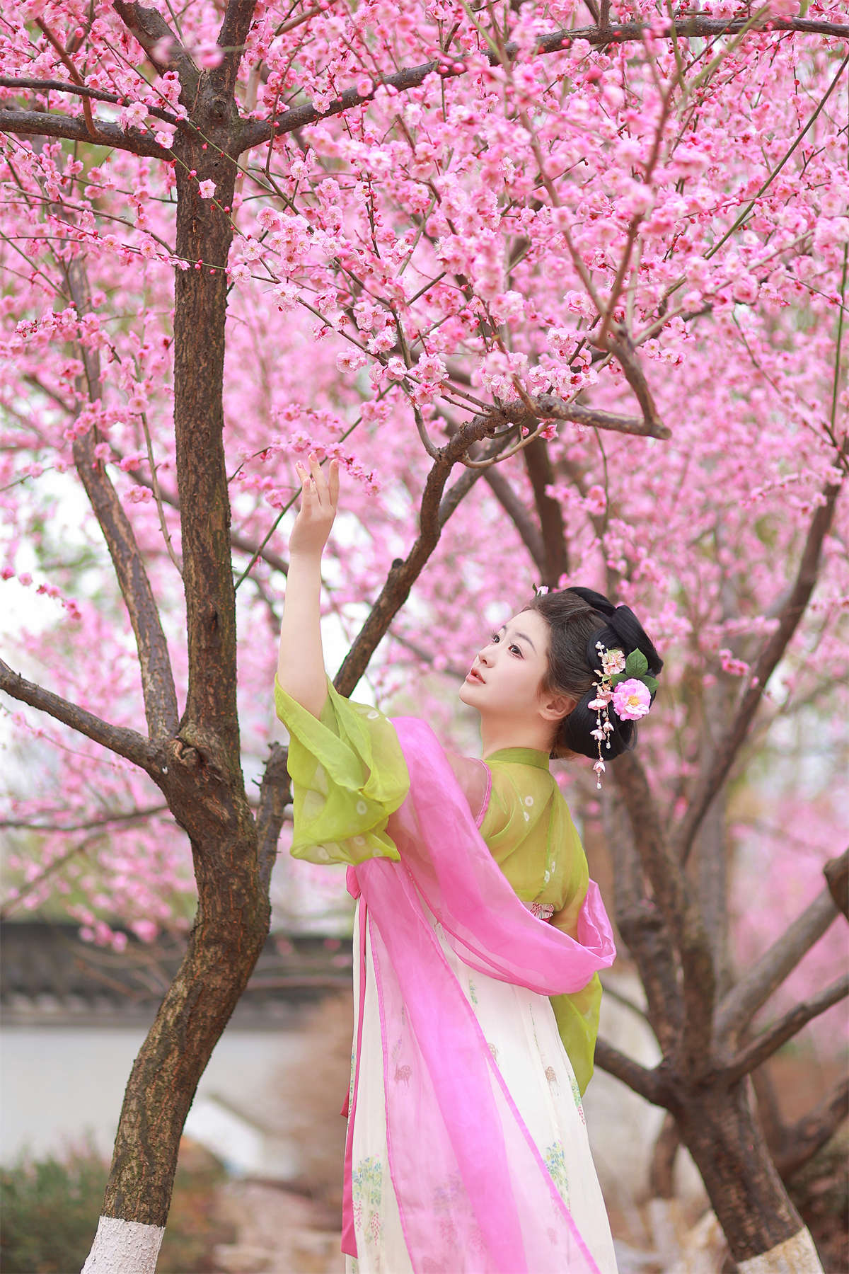 YITUYU艺图语 2023.08.10 赏梅 不可爱的禾禾喵插图1