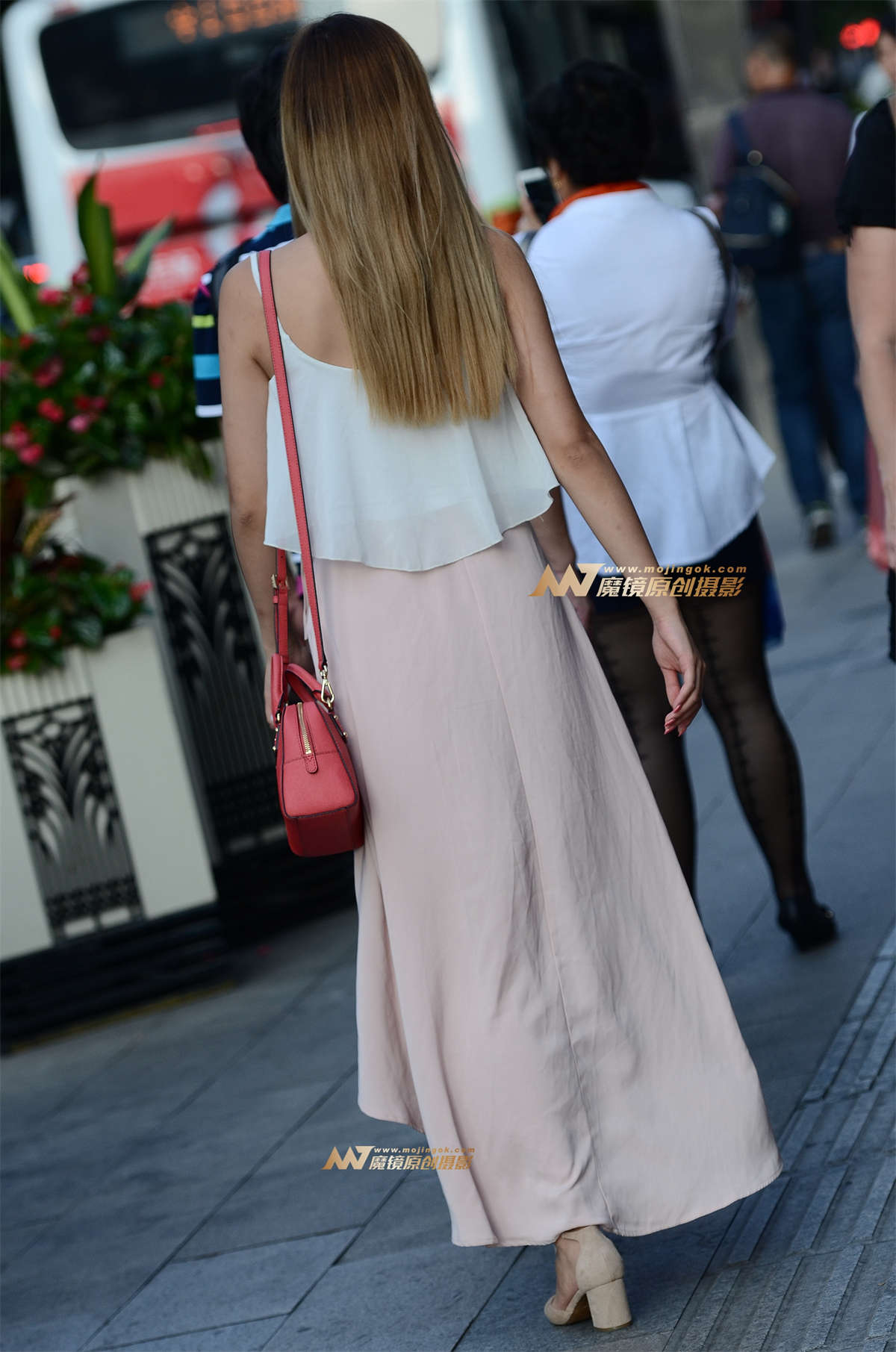 翩翩风姿俏佳人插图1