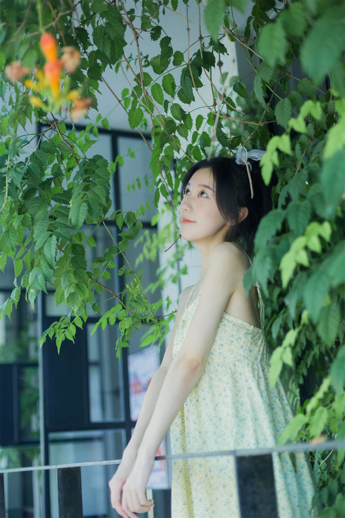 YITUYU艺图语 2022.08.18 夏日凌霄 饲猫少女--日更街拍