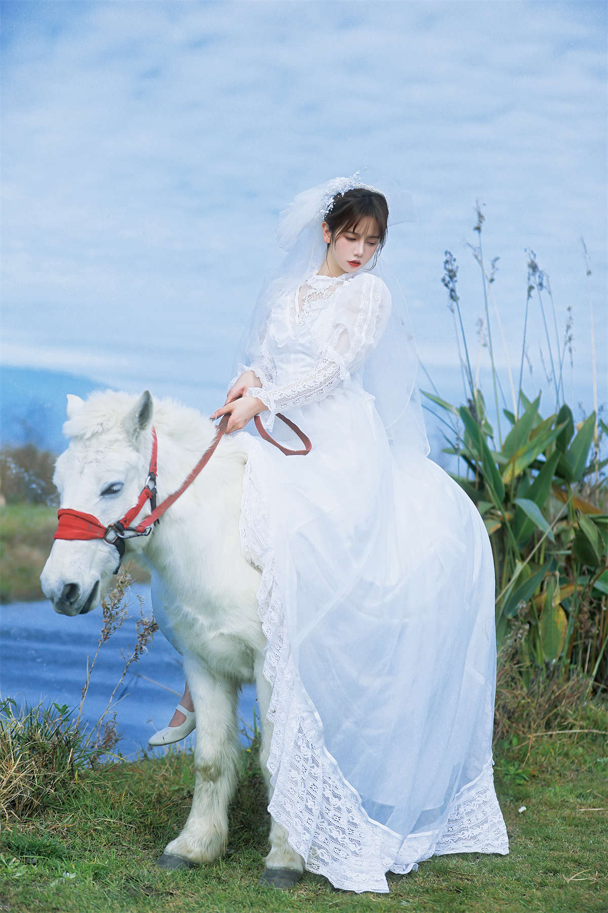 YITUYU艺图语 2023.01.08 桑桑，我带你回家。林木婷子插图1