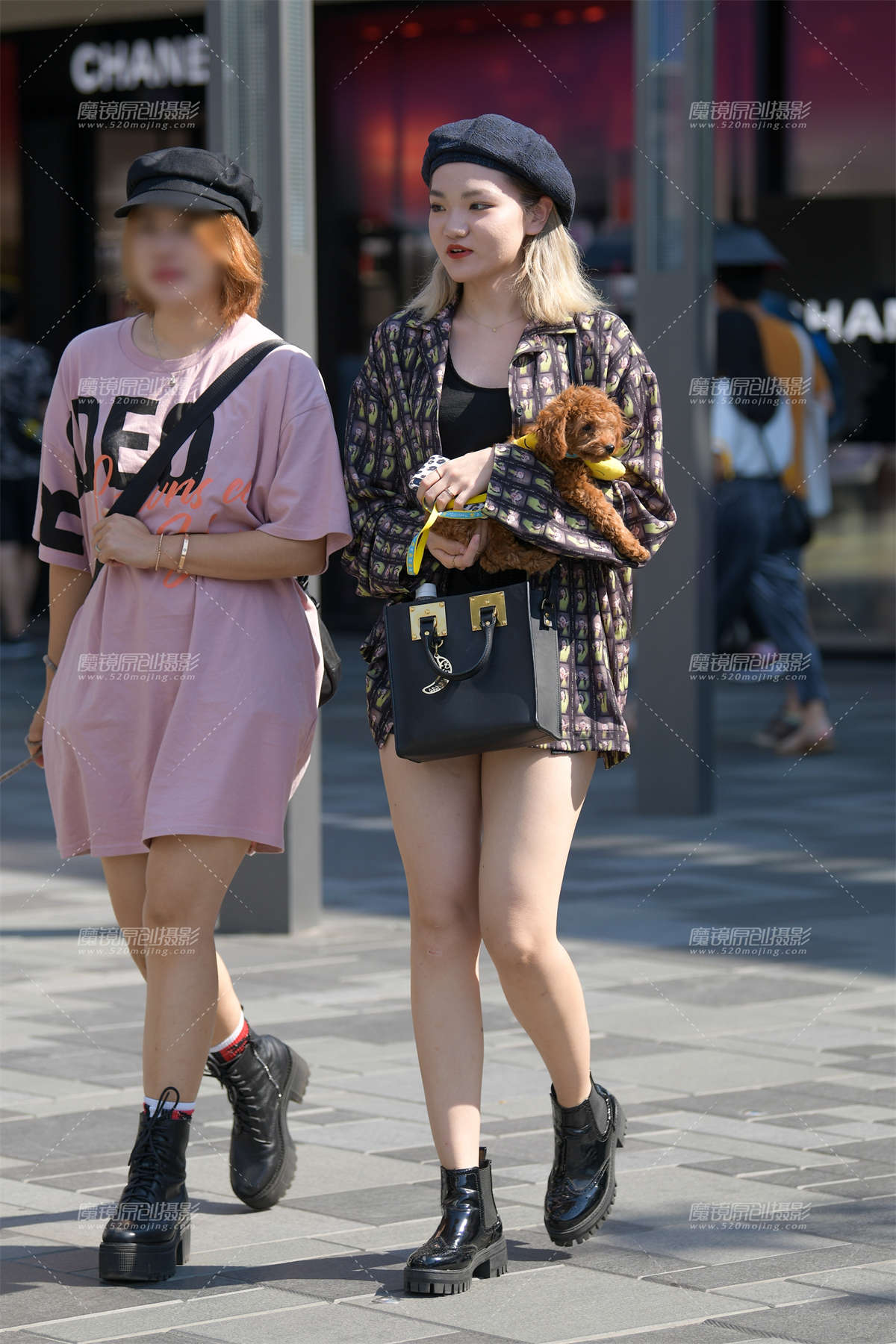 抱小狗的热裤美眉插图1