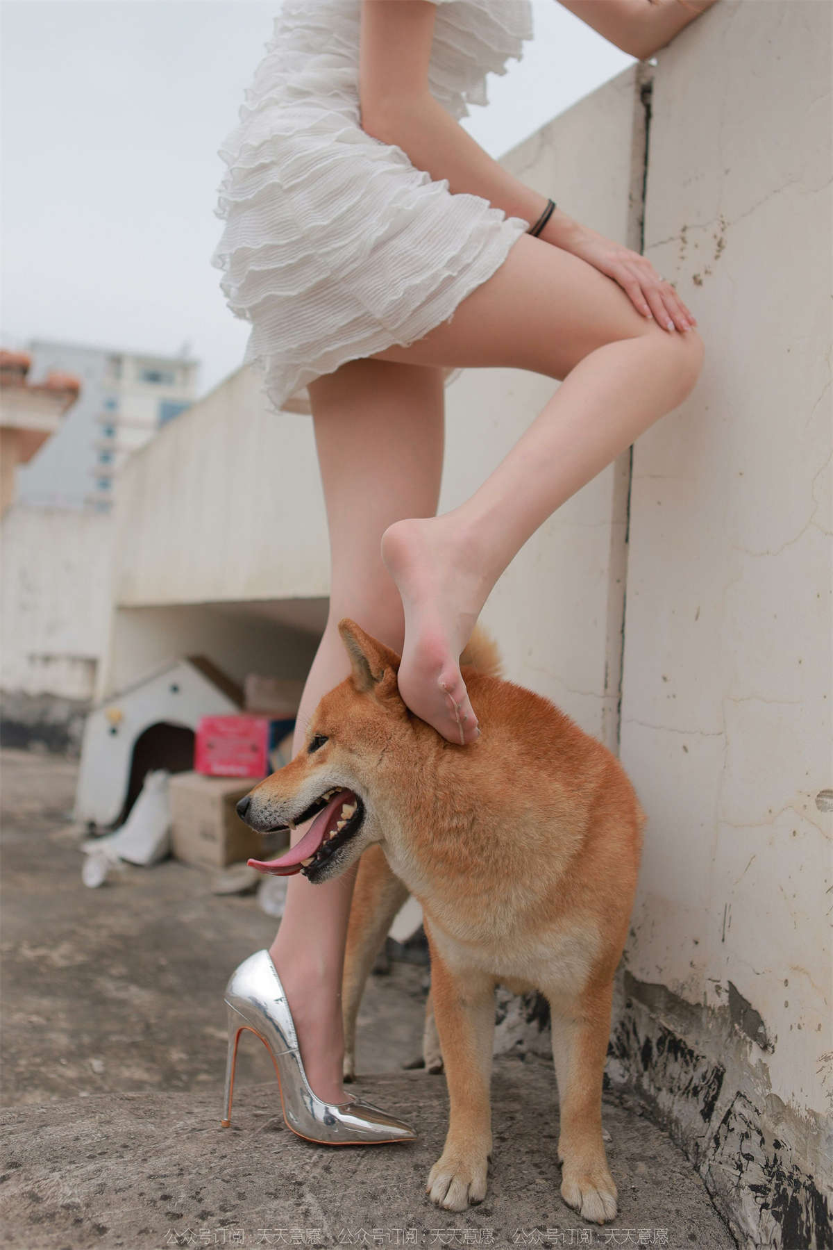 图片[2]-IESS异思趣向 2021.11.25 丝享家979：佳爷 12月女神佳爷-特辑-日更街拍