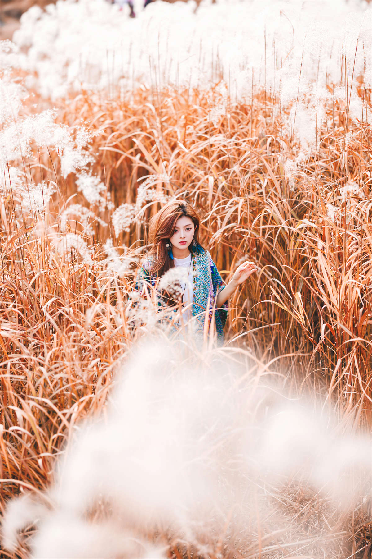 YITUYU艺图语 2023.06.22 芦苇 张张包插图1