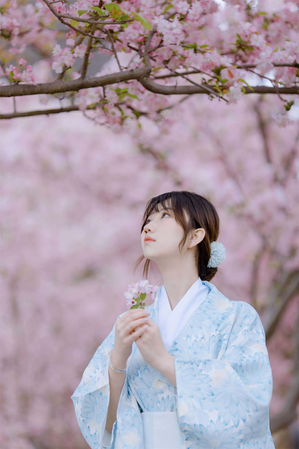 YITUYU艺图语 2023.06.22 三月季 对对插图1