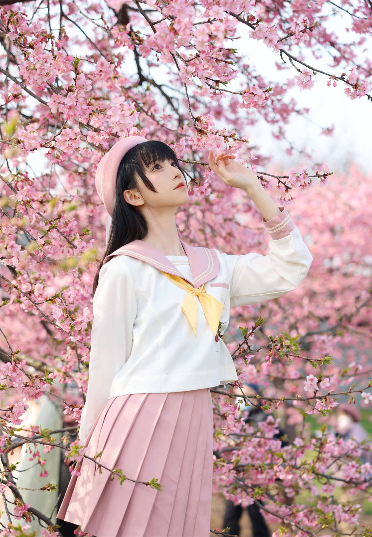 图片[2]-动漫Cos博主-绮太郎Kitaro 樱花-日更街拍