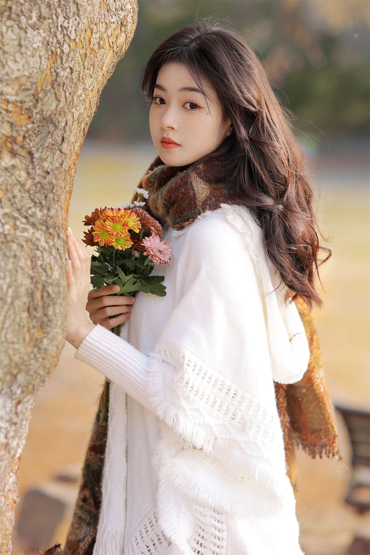 YITUYU艺图语 2024.04.04 秋意 小羊插图1