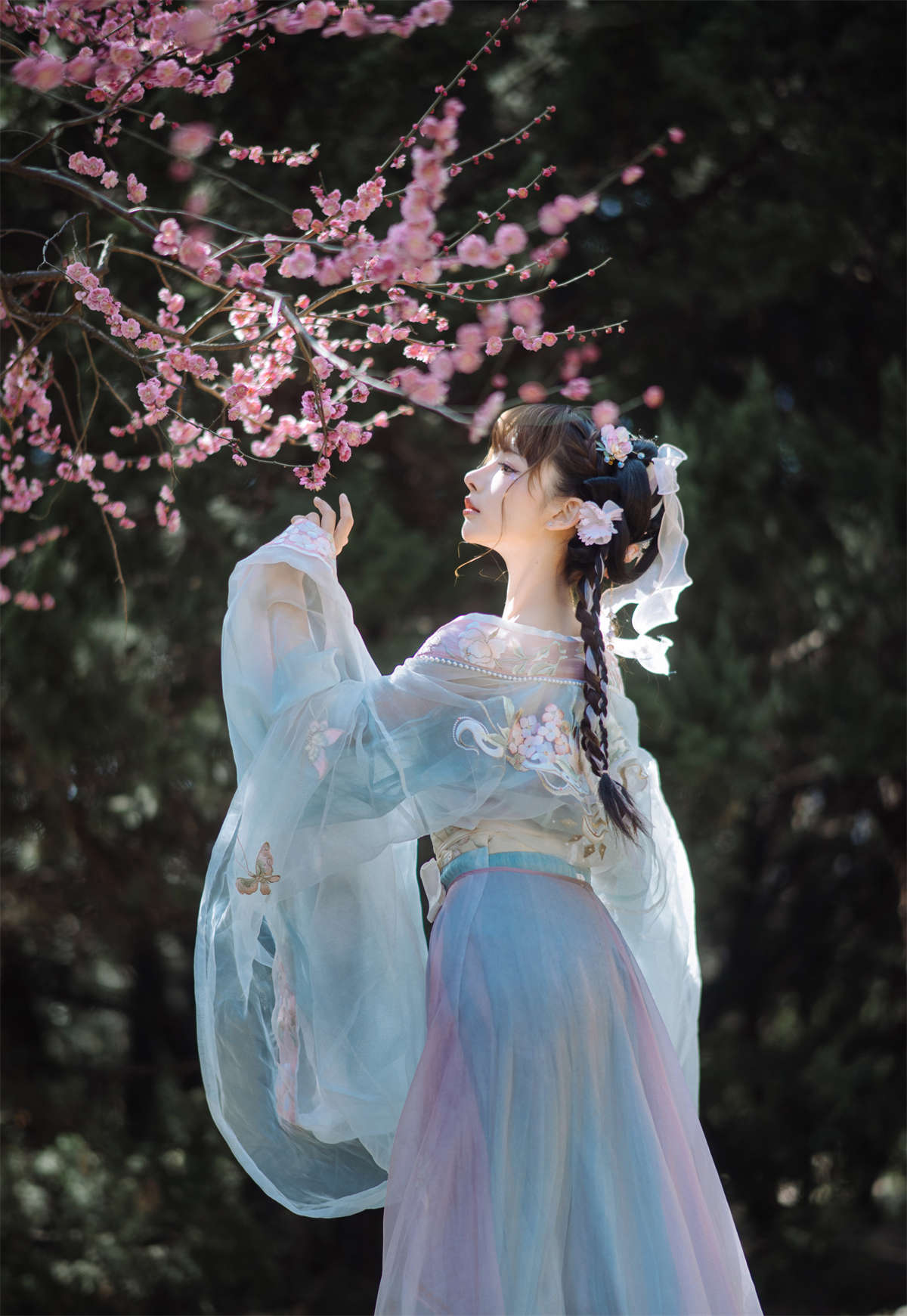 紫氯氯 No.008 二月梅花-日更街拍