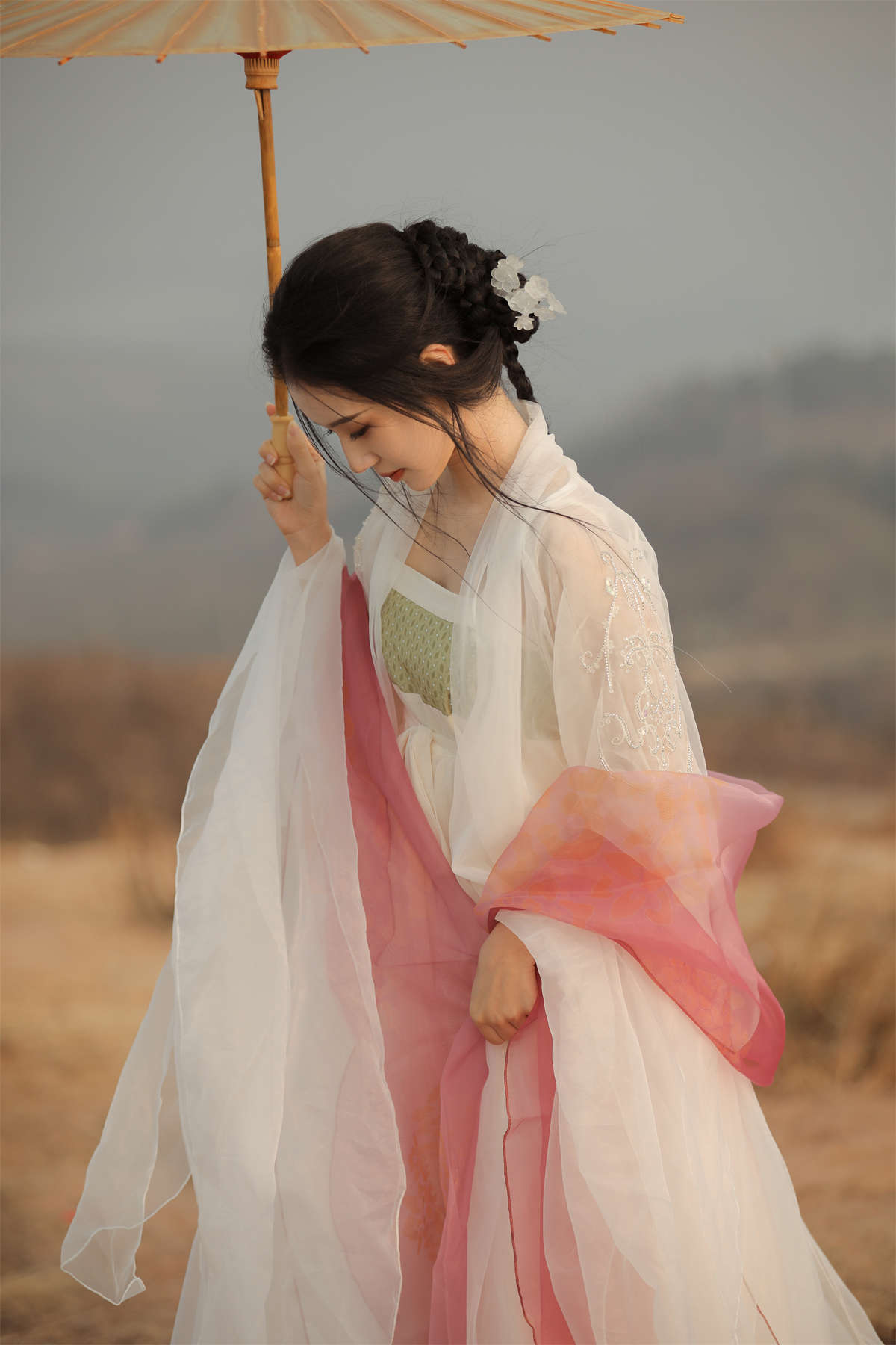 YITUYU艺图语 2023.04.06 莫道桑榆晚，为霞尚满天 贝贝爱吃山竹插图1