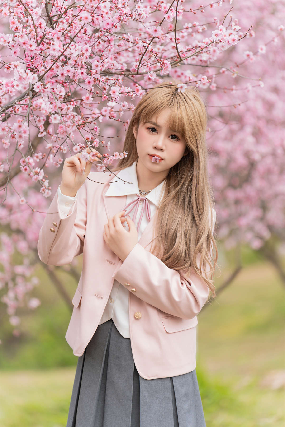 YITUYU艺图语 2024.04.09 美人梅 泡芙小方插图1