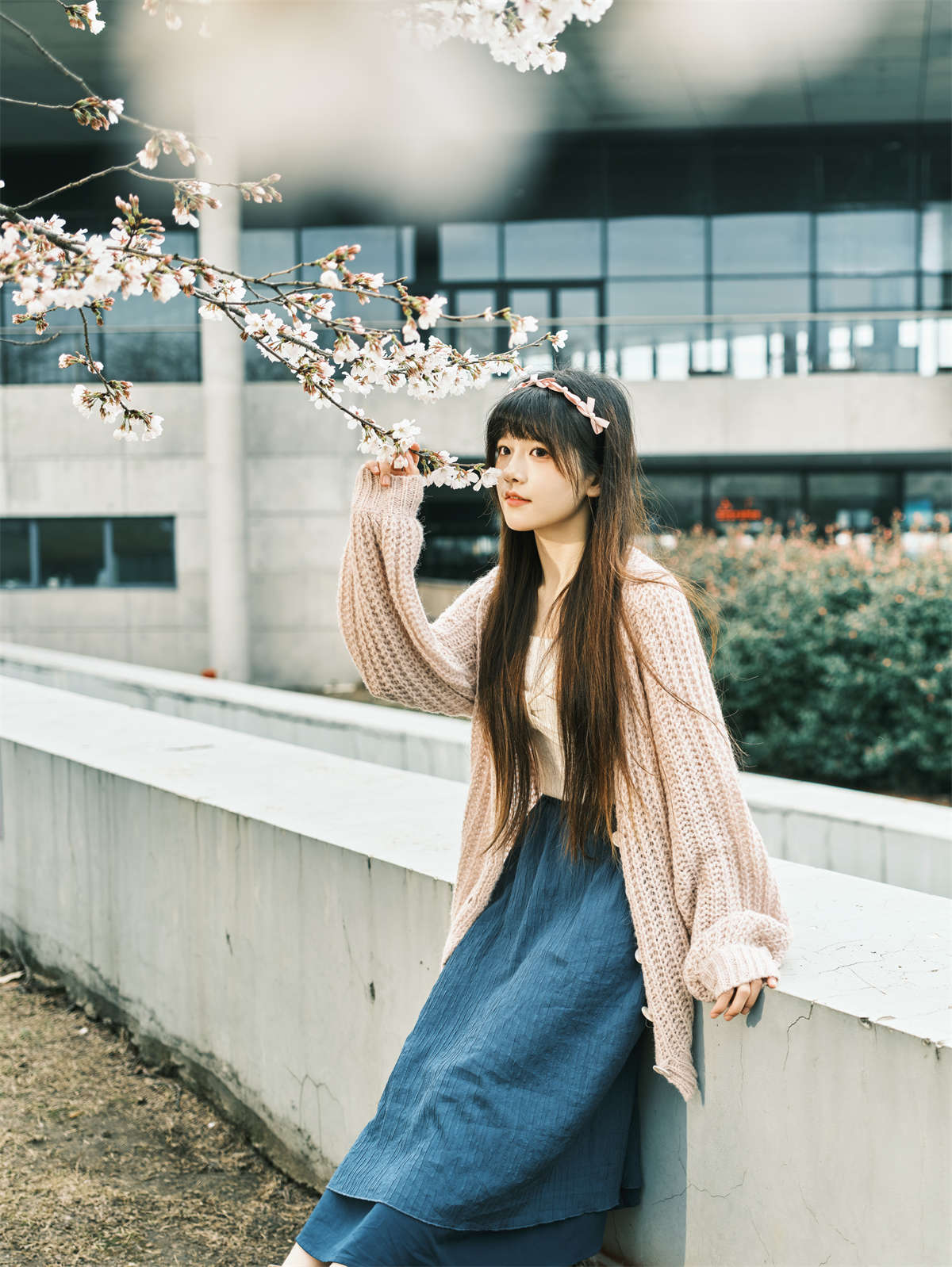 YITUYU艺图语 2023.04.03 染井吉野樱 宵宵喵插图1