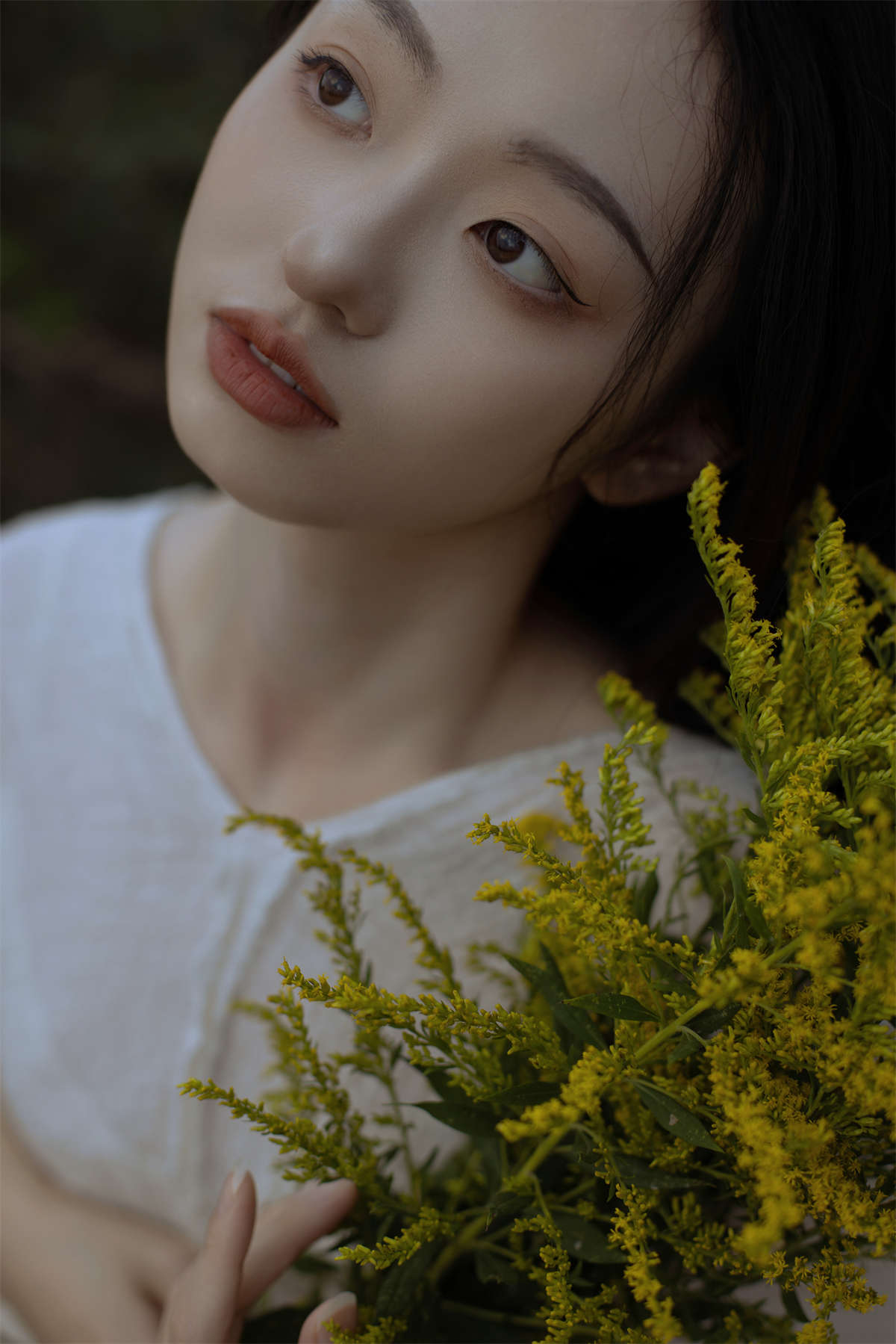 YITUYU艺图语 2023.11.29 山上 小羊爱干饭插图1