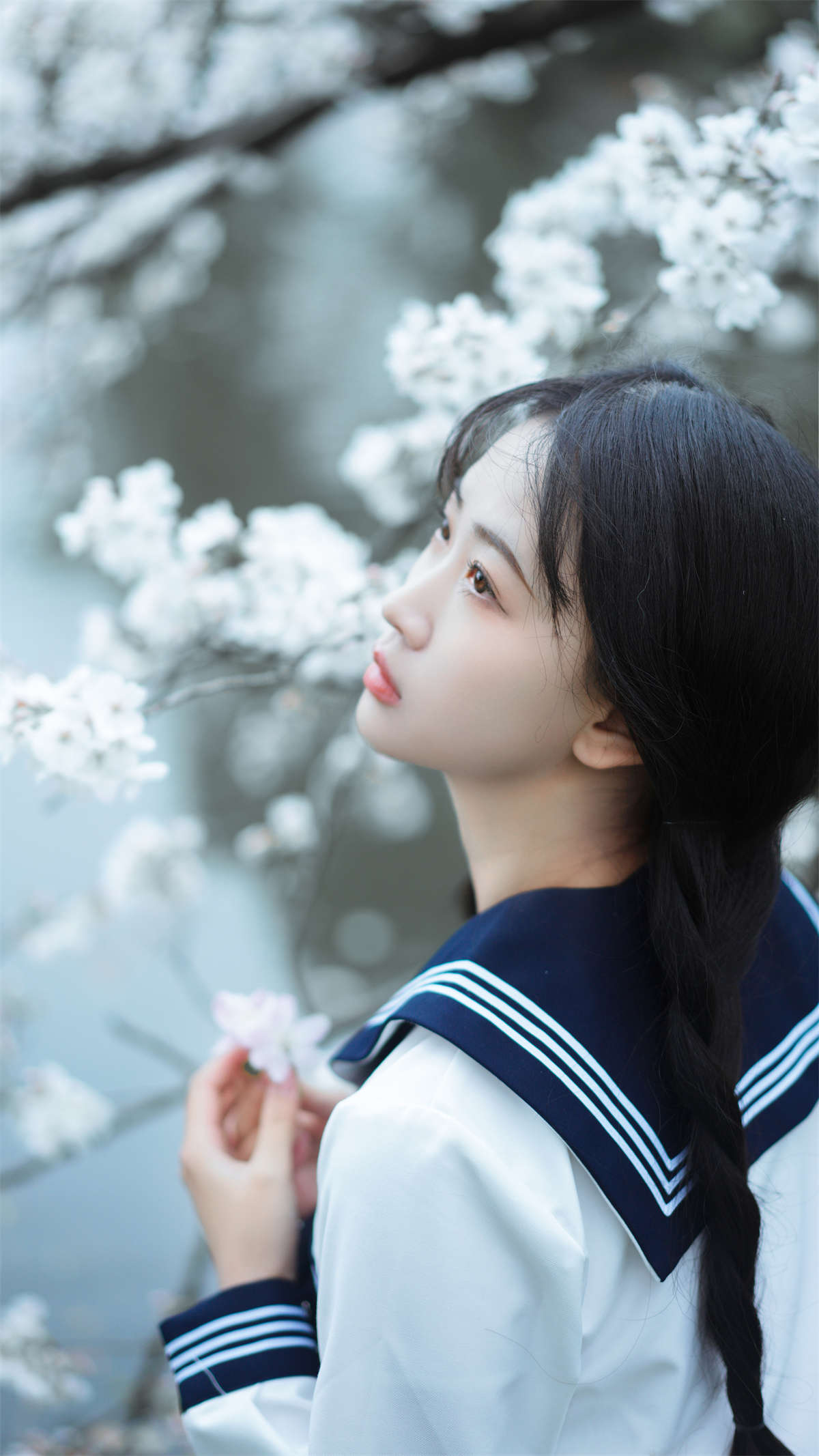 YITUYU艺图语 2023.03.21 樱花 岁岁草莓冰插图1