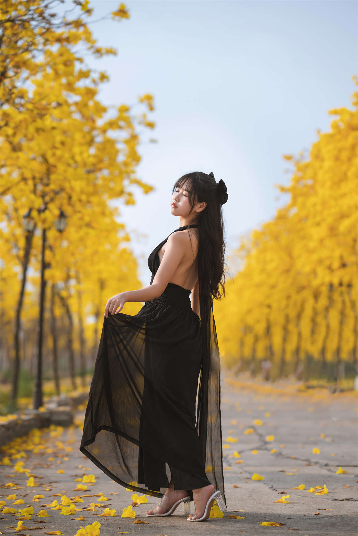 YITUYU艺图语 2023.02.14 秋有银杏 春有黄风铃 萌芽儿o0插图1