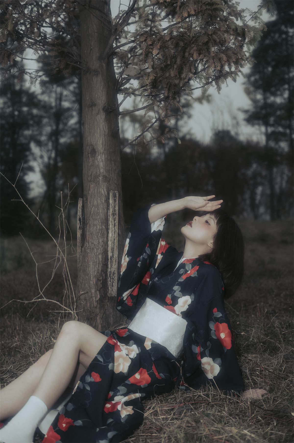 YITUYU艺图语 2023.02.14 无言  阿喵的饭饭插图1