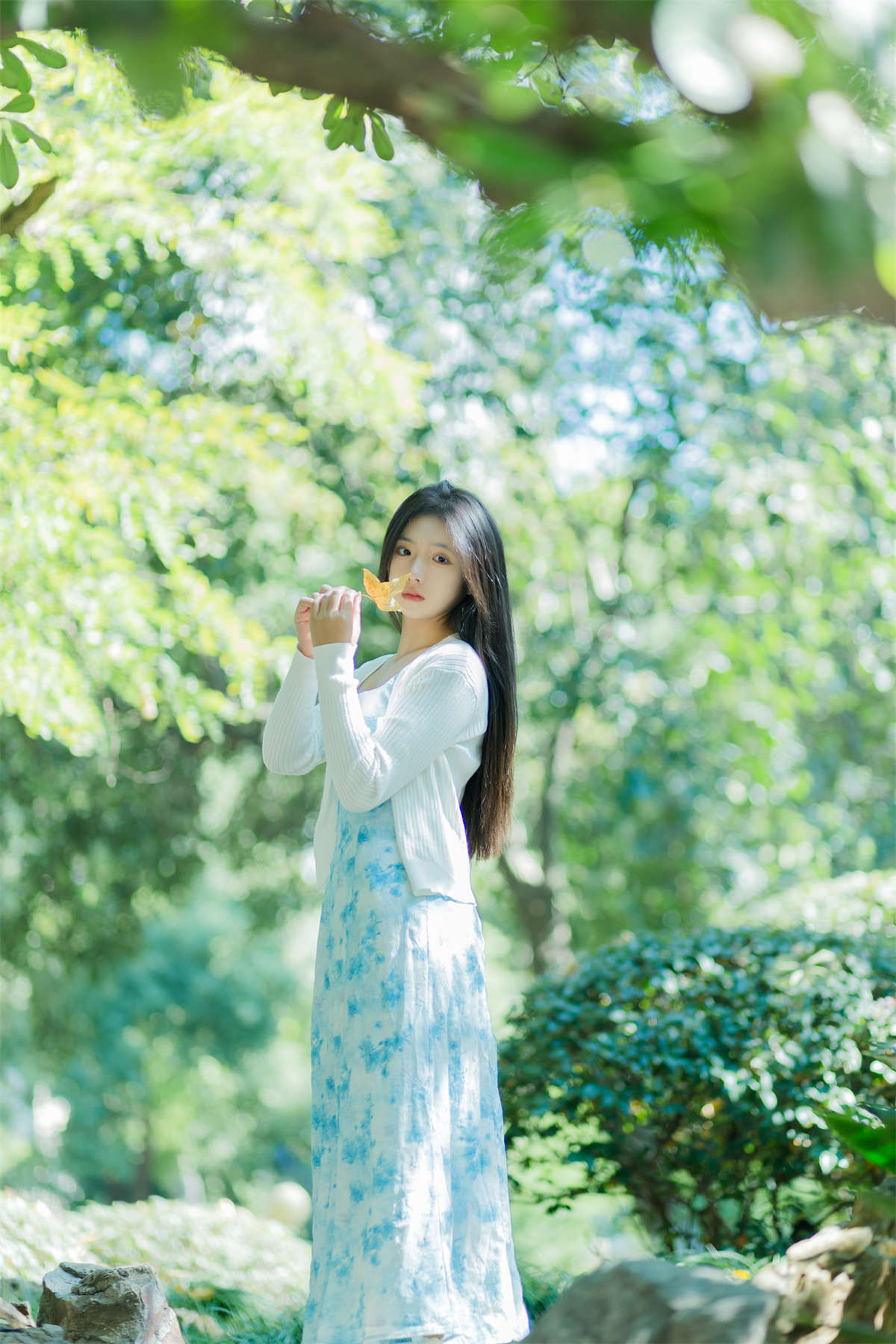 YITUYU艺图语 2023.11.15 怦怦 木柚插图1