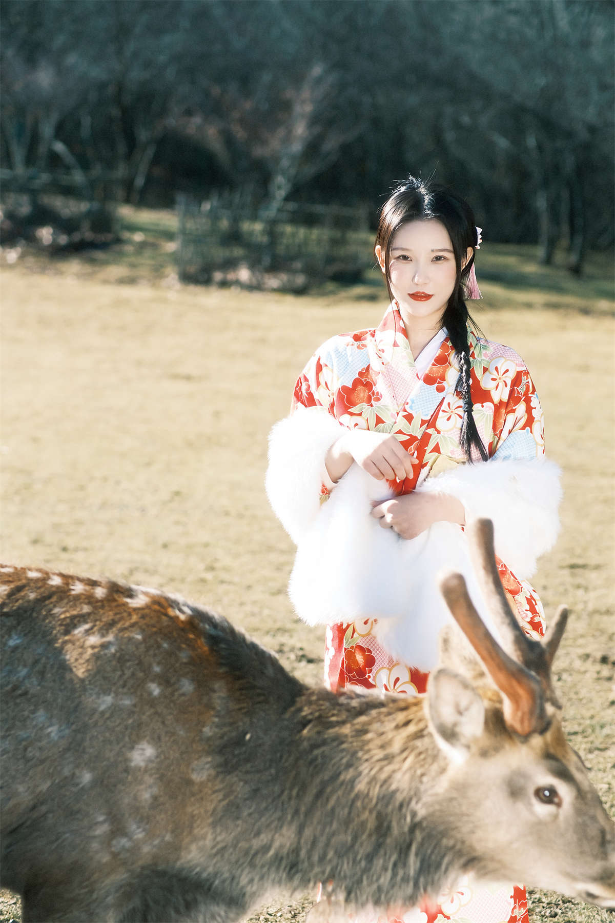 YITUYU艺图语 2022.12.31 与鹿 小霜插图1