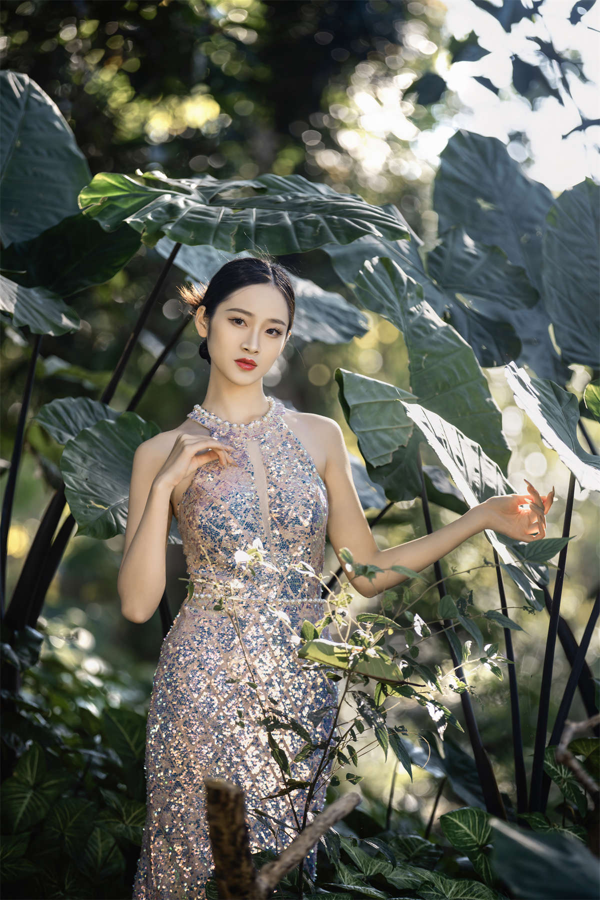 YITUYU艺图语 2024.10.18 热带雨林 然染插图1