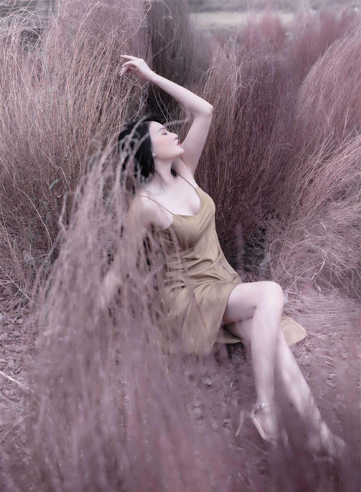 YITUYU艺图语 2022.11.13 紫色烟花 翠花儿插图1