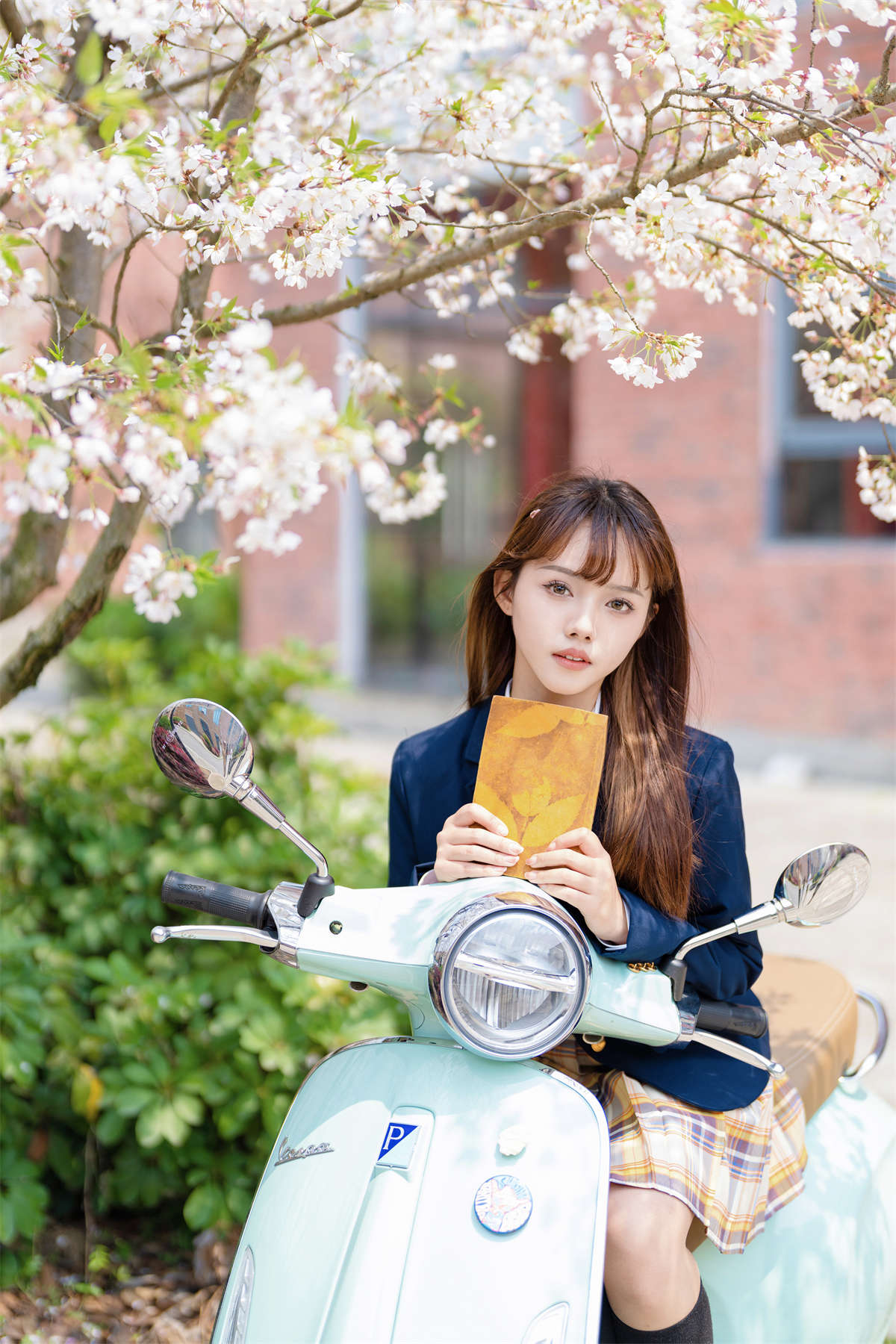 YITUYU艺图语 2023.06.17 梨花树下 cake插图1