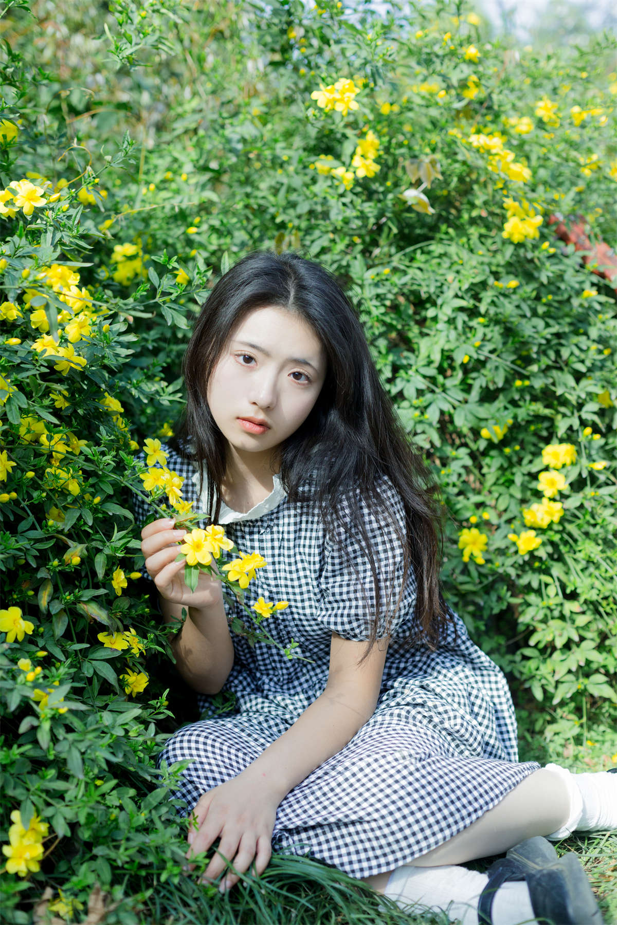 YITUYU艺图语 2023.04.02 故事的小黄花 木柚插图1