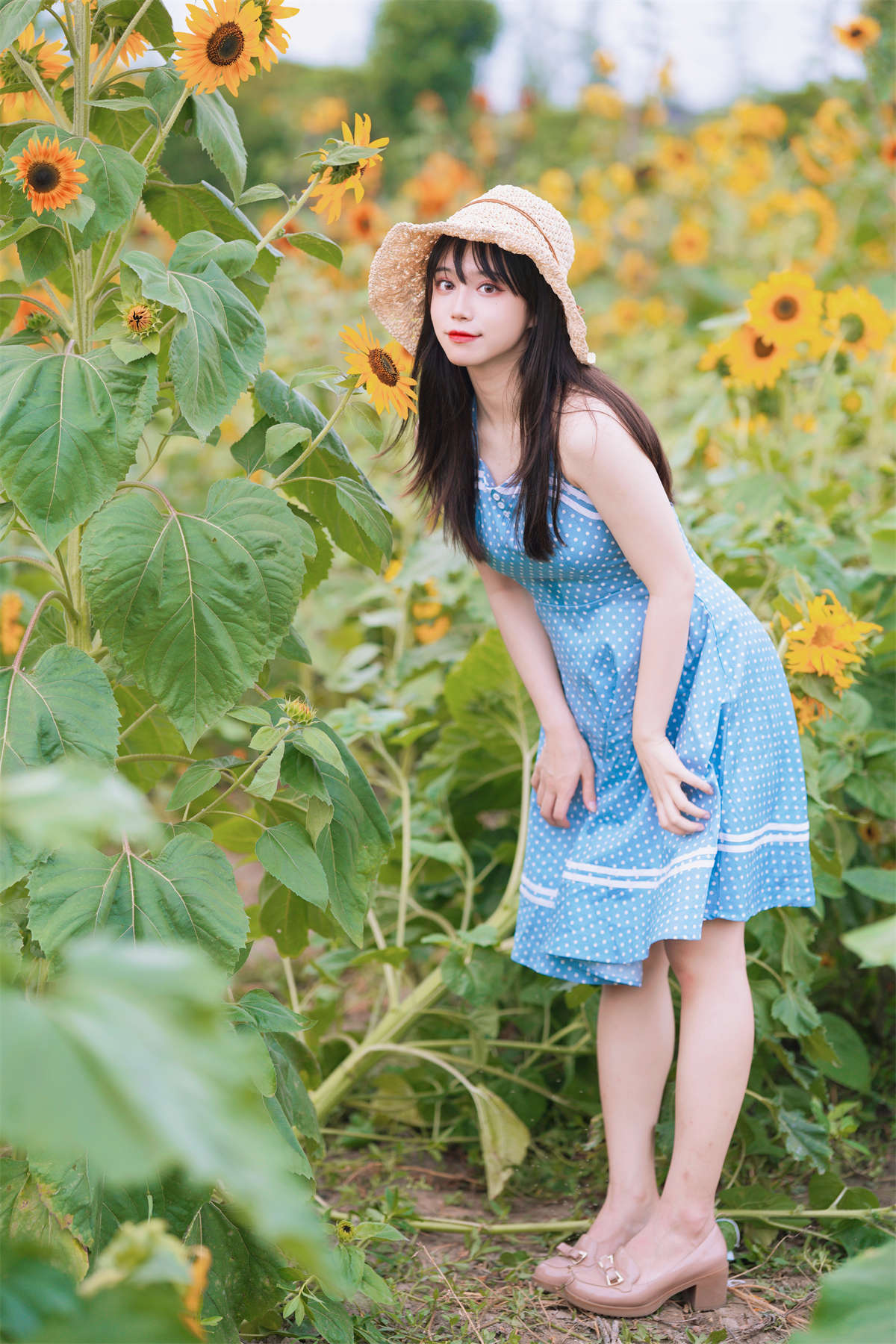 YITUYU艺图语 2023.06.17 向日葵的约定 贰加六插图1