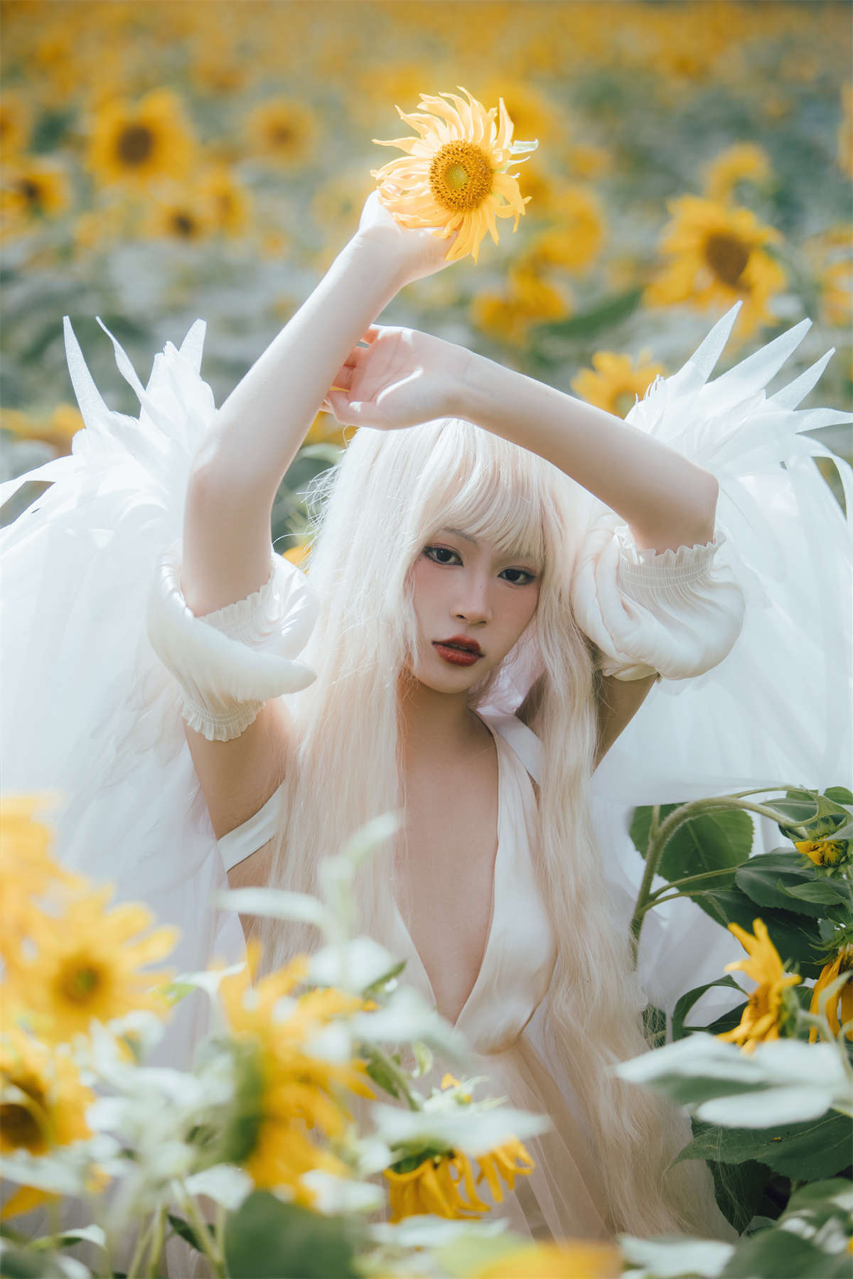 YITUYU艺图语 2022.11.15 孤鸟 努力搬砖的双翮插图1