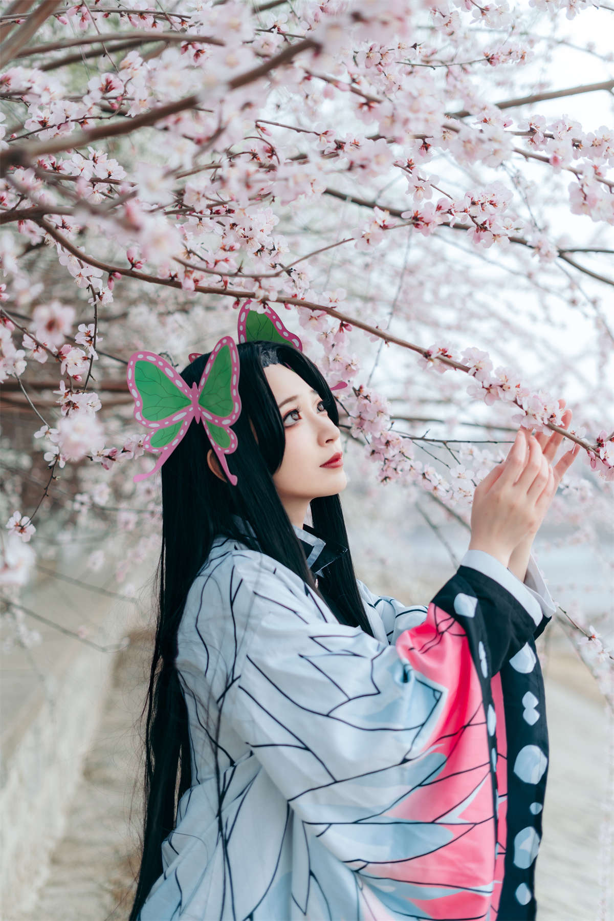 YITUYU艺图语 2023.04.12 蝴蝶香奈惠 桃墨公子x插图1