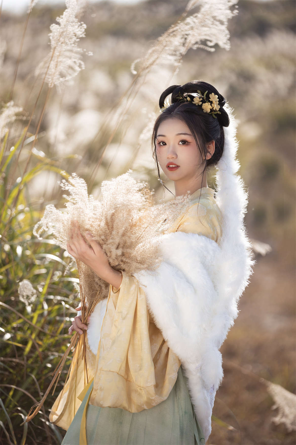 YITUYU艺图语 2023.02.09 芦苇晚风鸣 晚江亭插图1