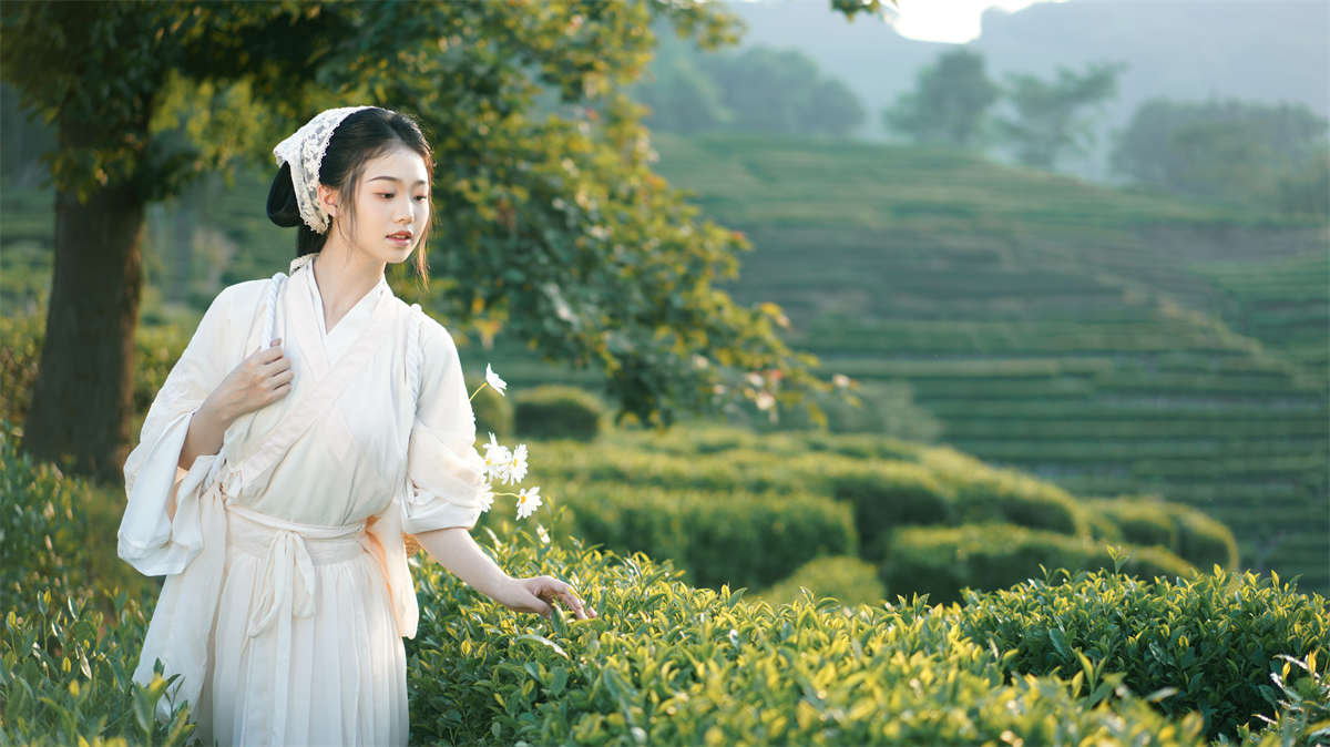 YITUYU艺图语 2023.06.24 茶山 小羊墩墩插图1