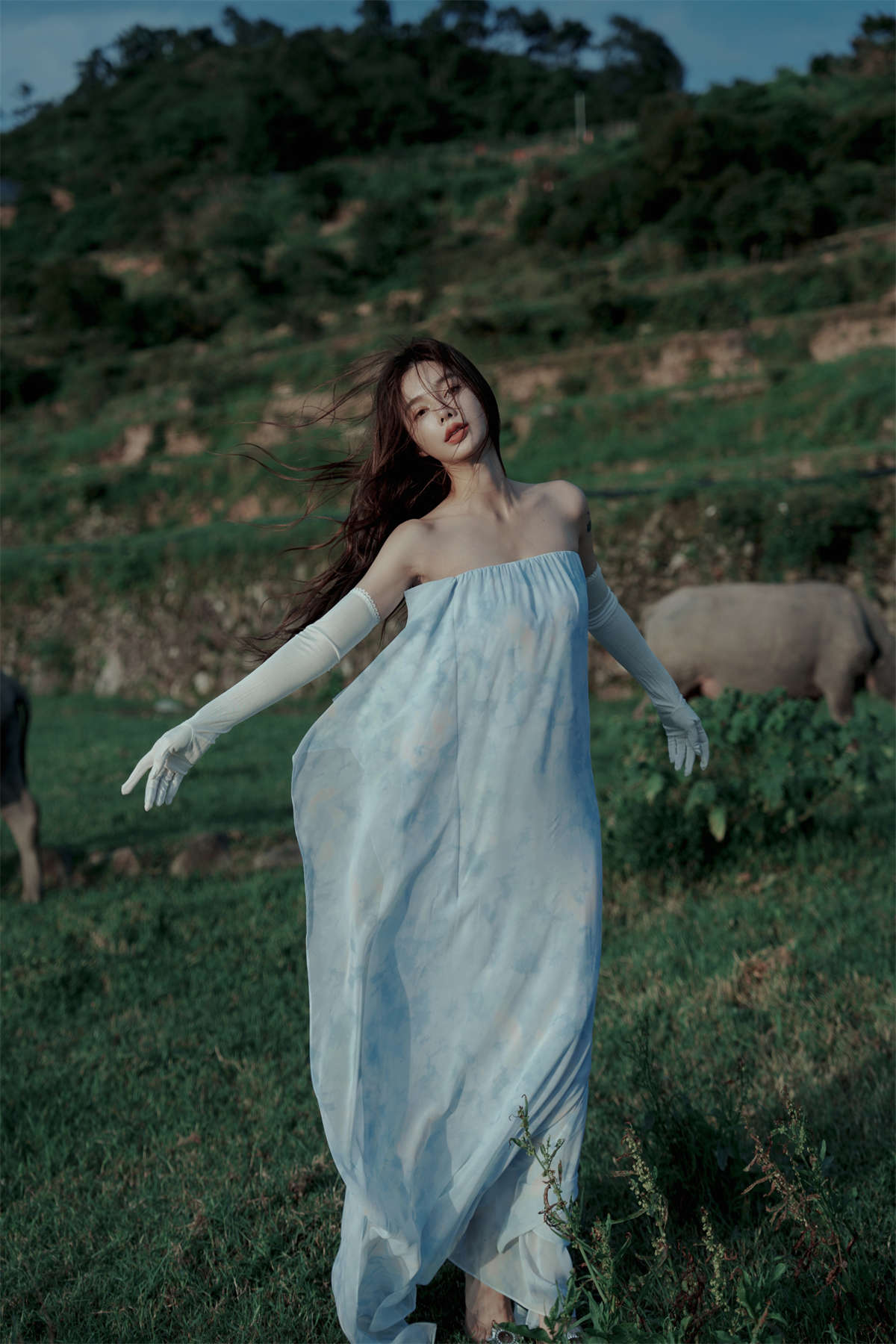 YITUYU艺图语 2022.09.15 穿梭在牛群中，与牛共舞 姝雯同学插图1