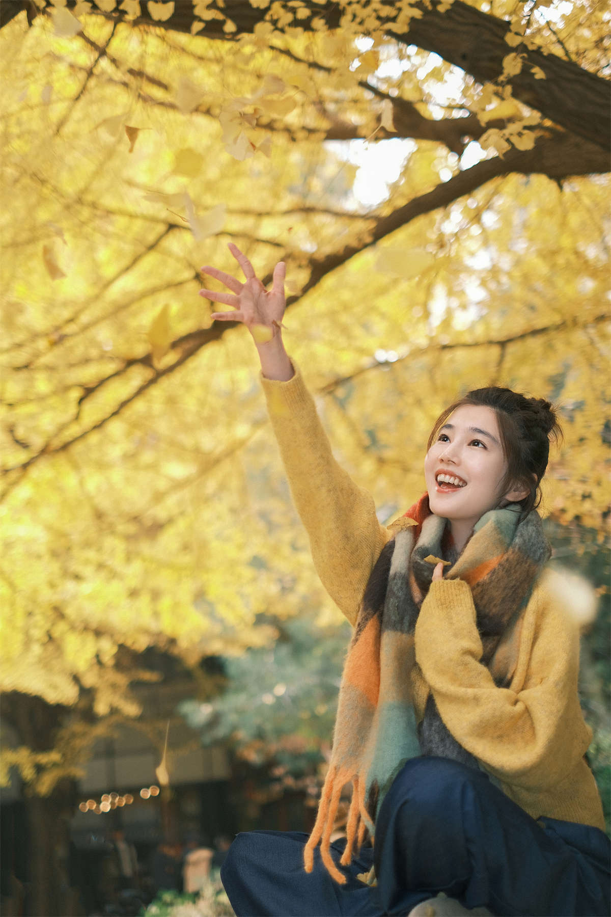 YITUYU艺图语 2025.01.26 窗边秋色 凡凡插图1