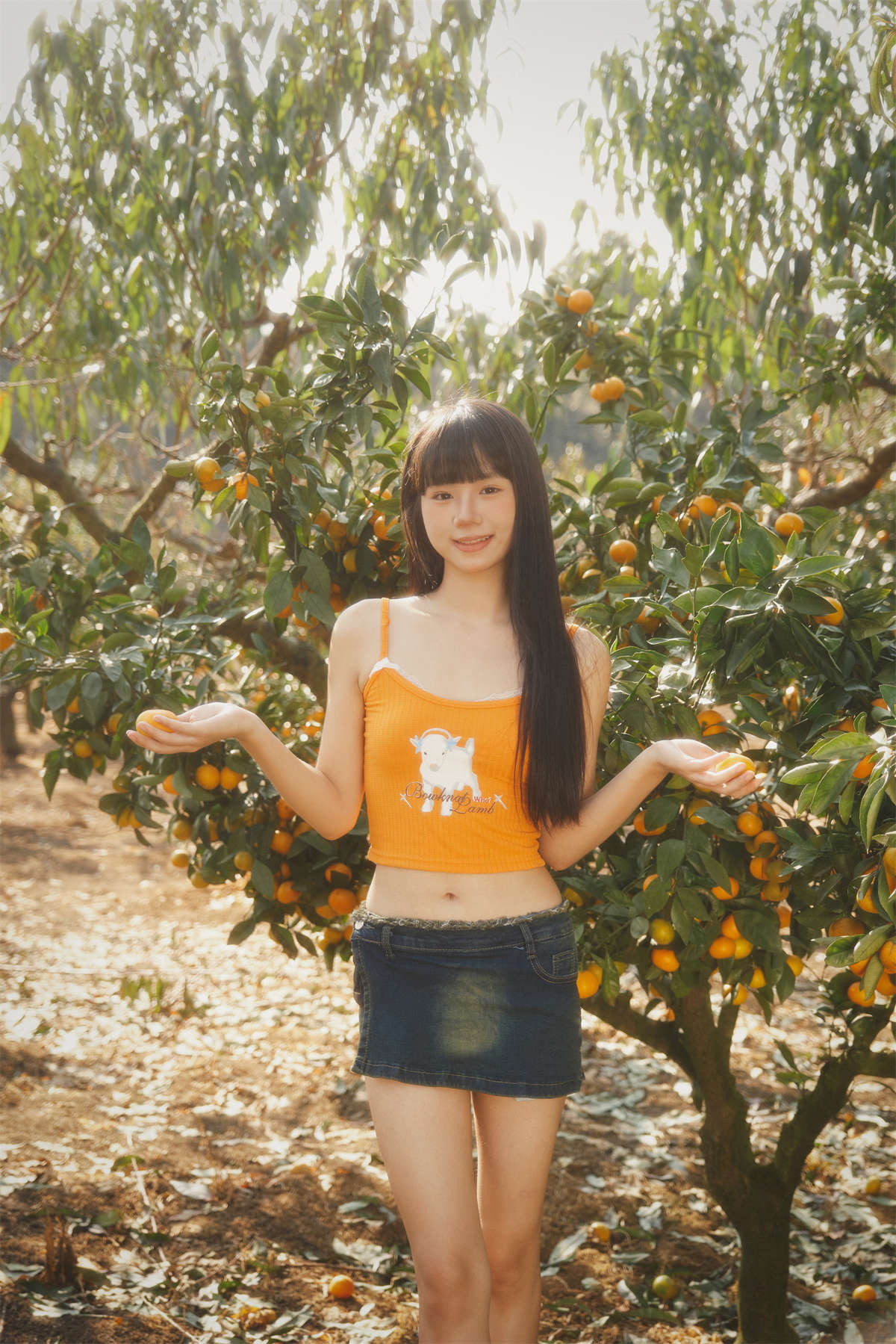 YITUYU艺图语 2025.01.26 橘子园 是三金呀插图1