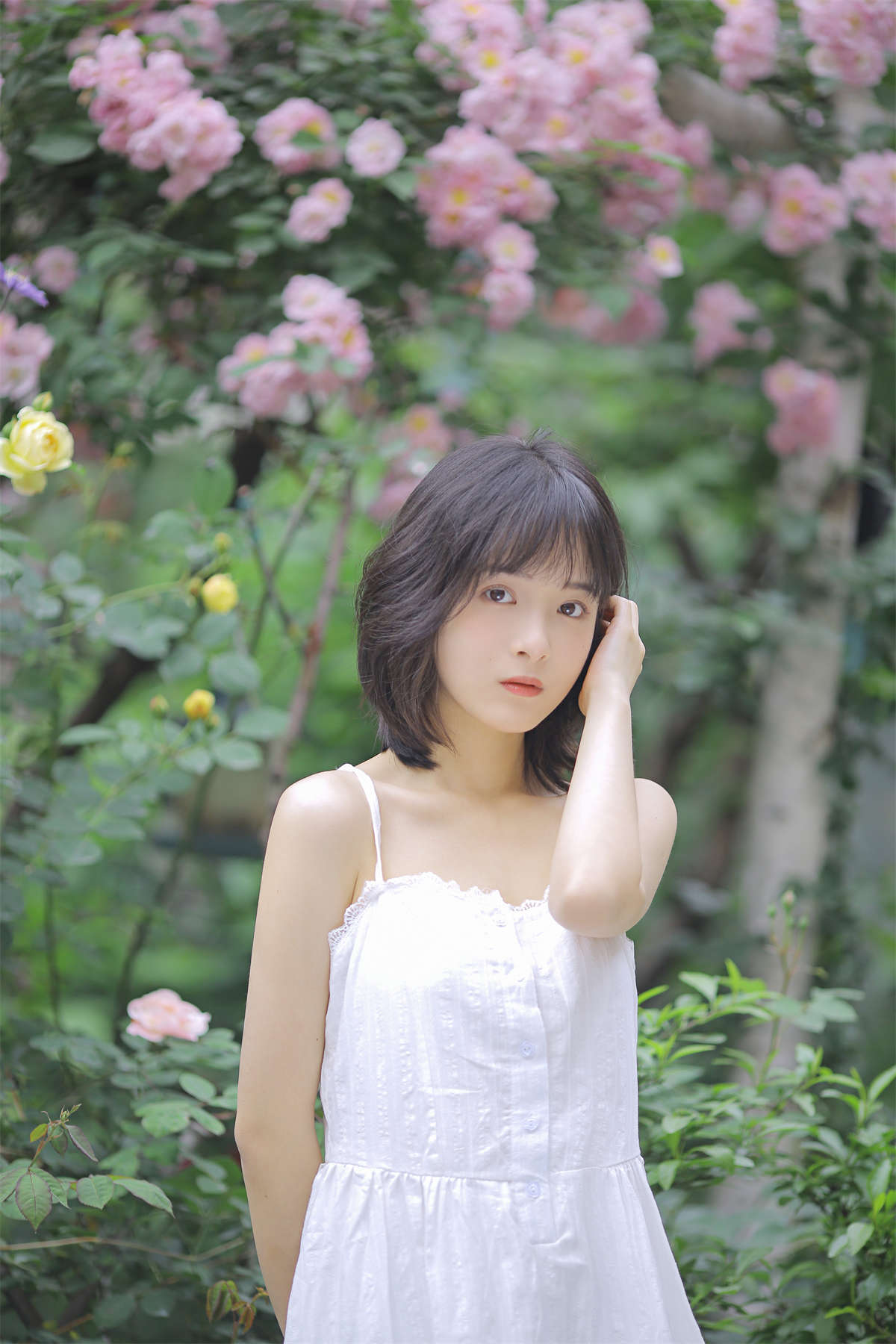 YITUYU艺图语 2022.08.17 花期已致 美好如初 甜酒八號插图1