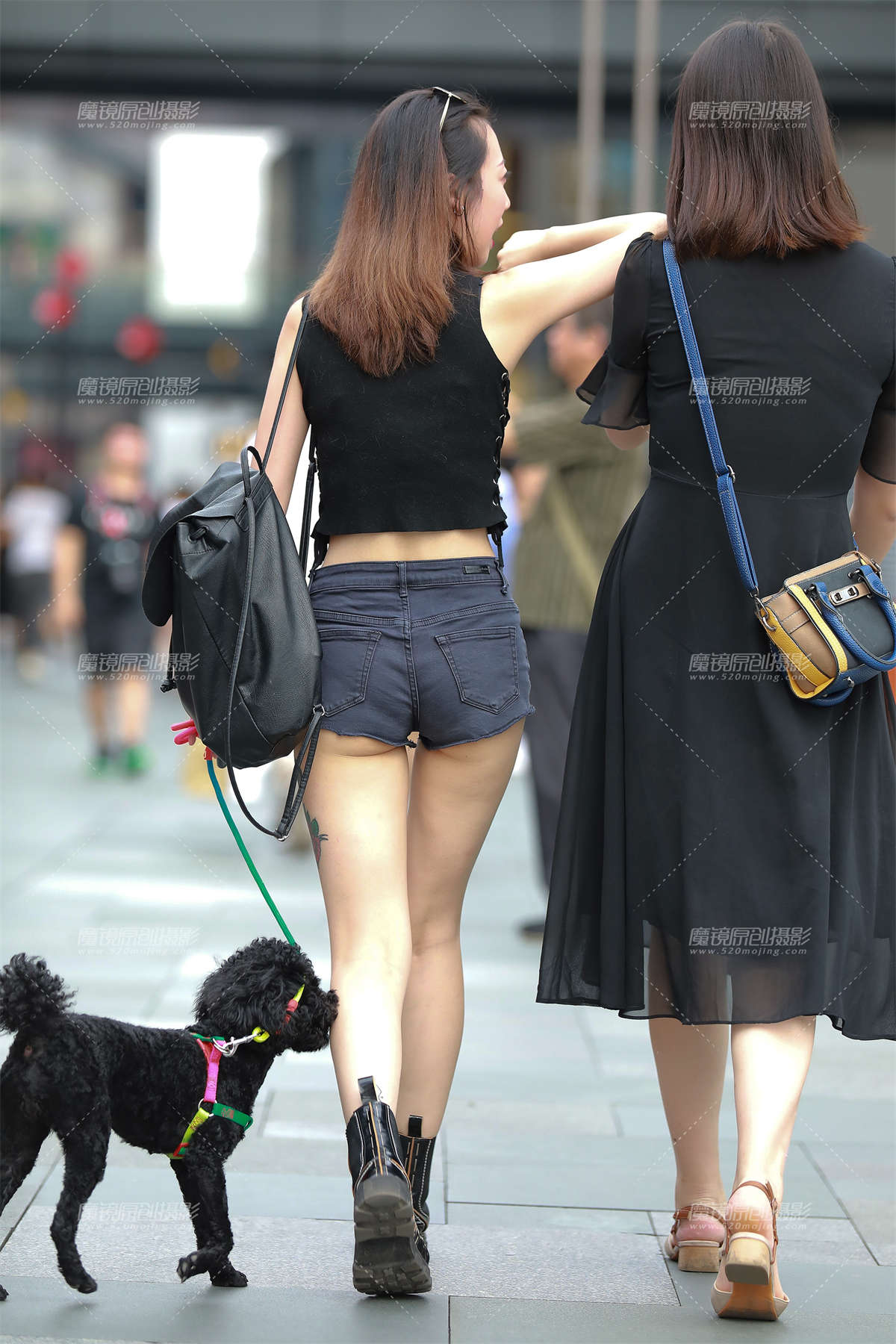 图片[2]-遛狗，热裤美眉-日更街拍