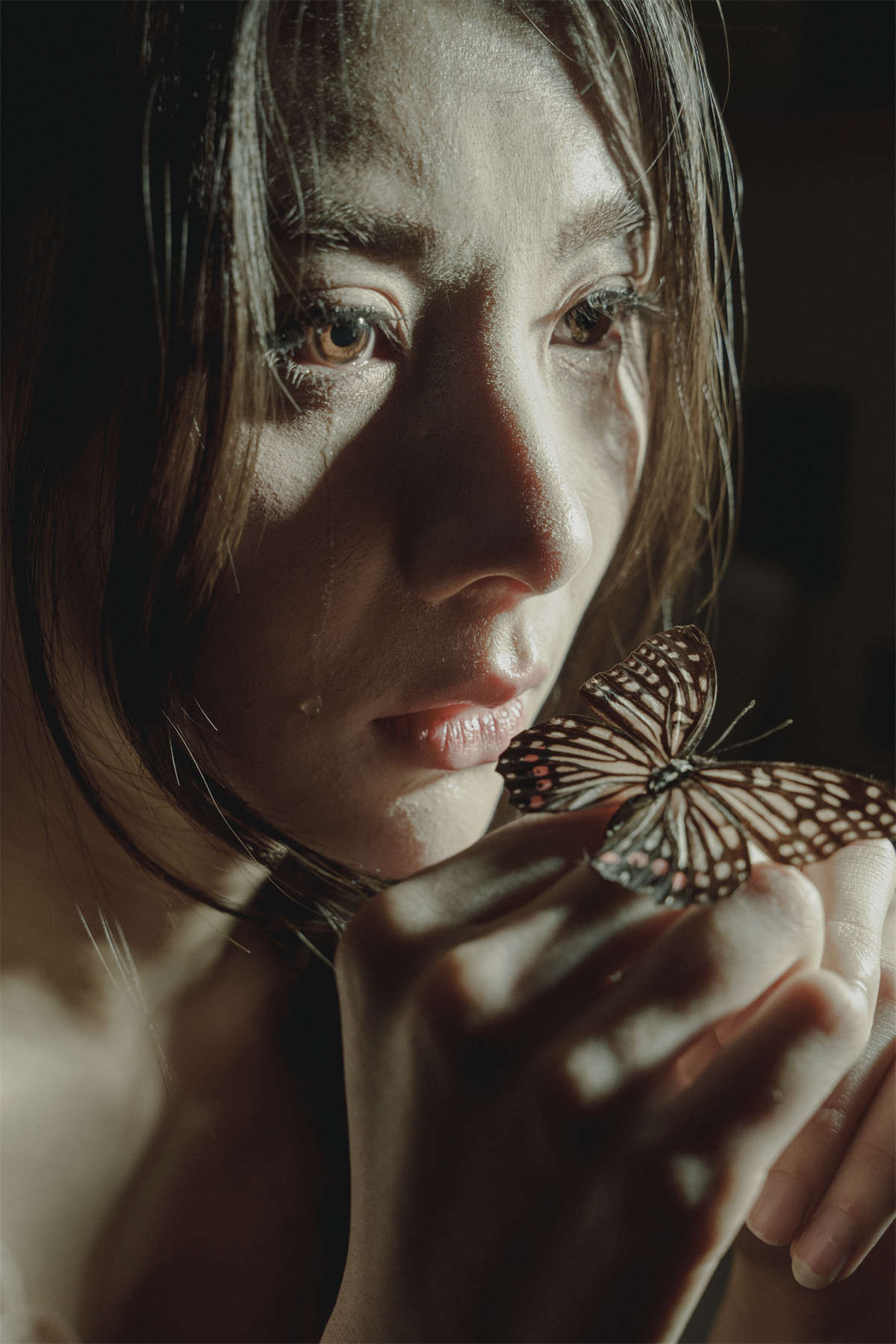 YITUYU艺图语 2024.11.08 蝶梦 兔兔子插图1