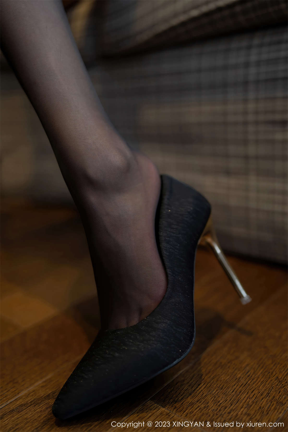 图片[2]-XINGYAN星颜社 2023.11.23 Vol.217 尹菲-日更街拍