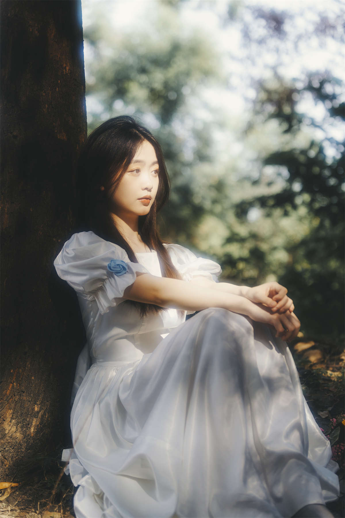 YITUYU艺图语 2022.07.26 向阳 呆头飞鸟_插图1